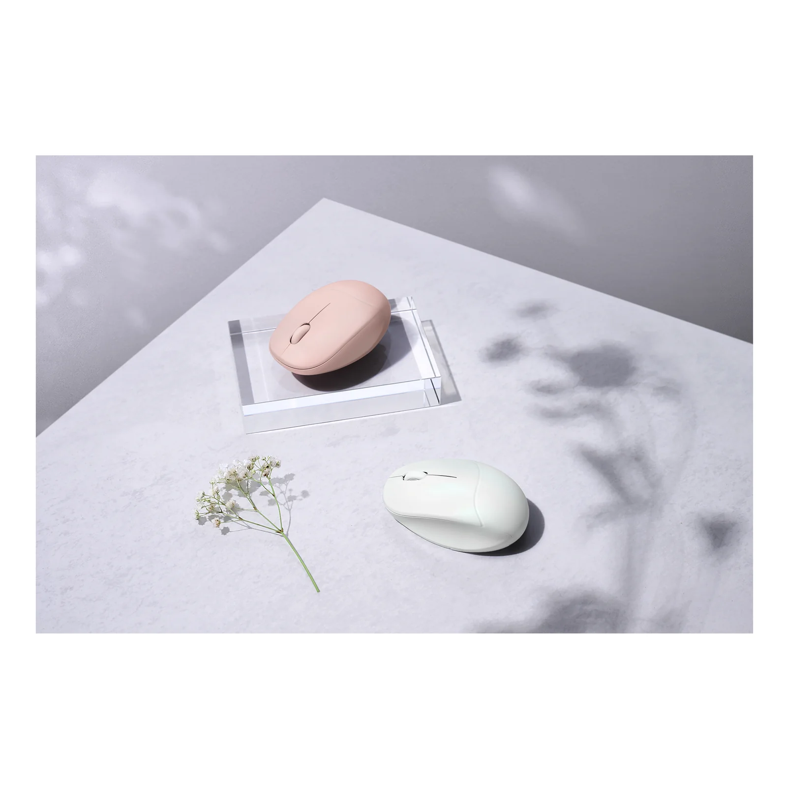 ASUS Fragrance Mouse MD101 souris Maison Ambidextre RF sans fil + Bluetooth Optique 2400 DPI