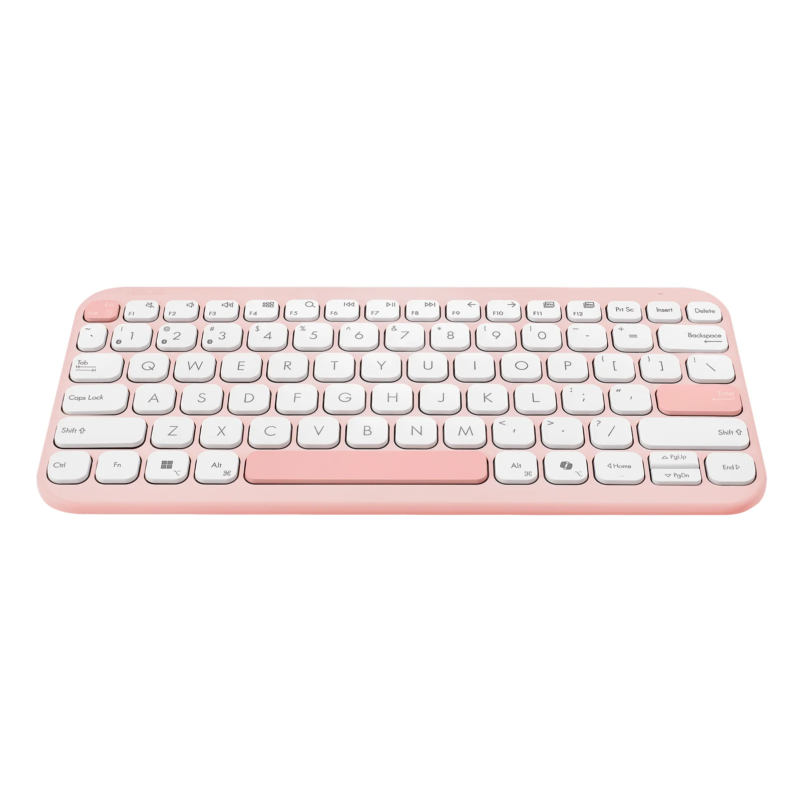 ASUS Marshmallow Keyboard KW100 clavier Maison Bluetooth QWERTZ Allemand Rose