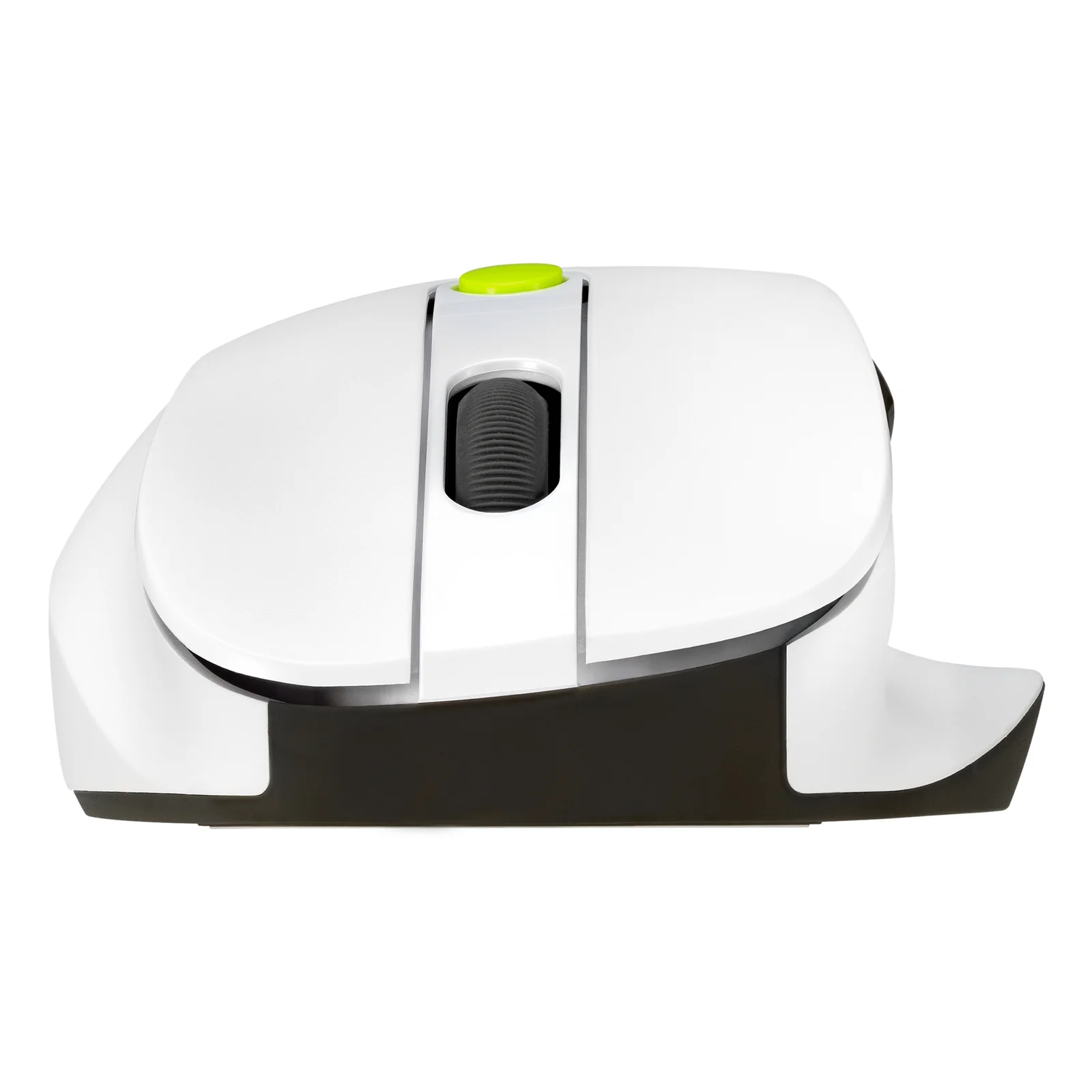 ASUS MD105 MOUSE/VT-GN souris Universel Droitier RF sans fil + Bluetooth 2400 DPI
