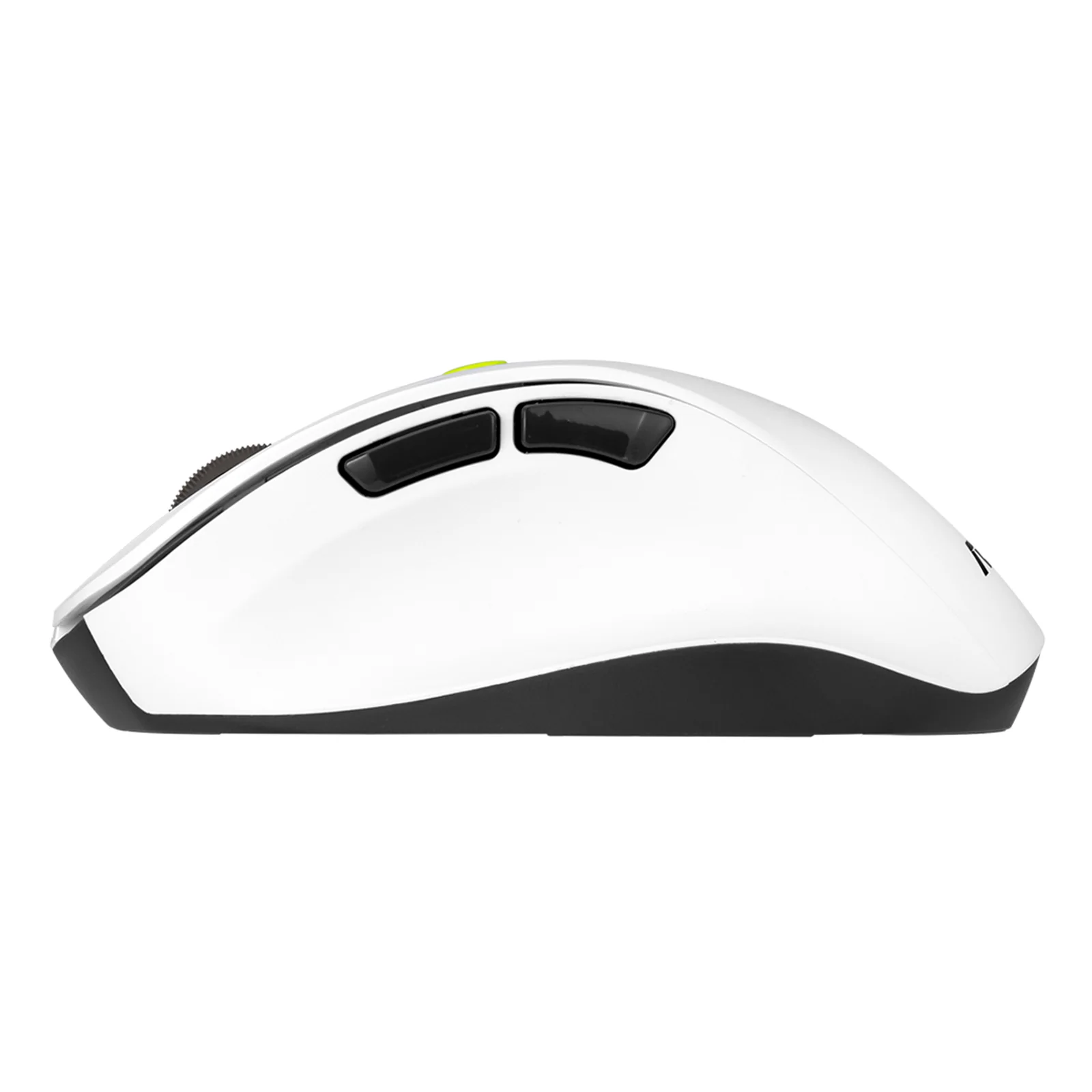 ASUS MD105 MOUSE/VT-GN souris Universel Droitier RF sans fil + Bluetooth 2400 DPI