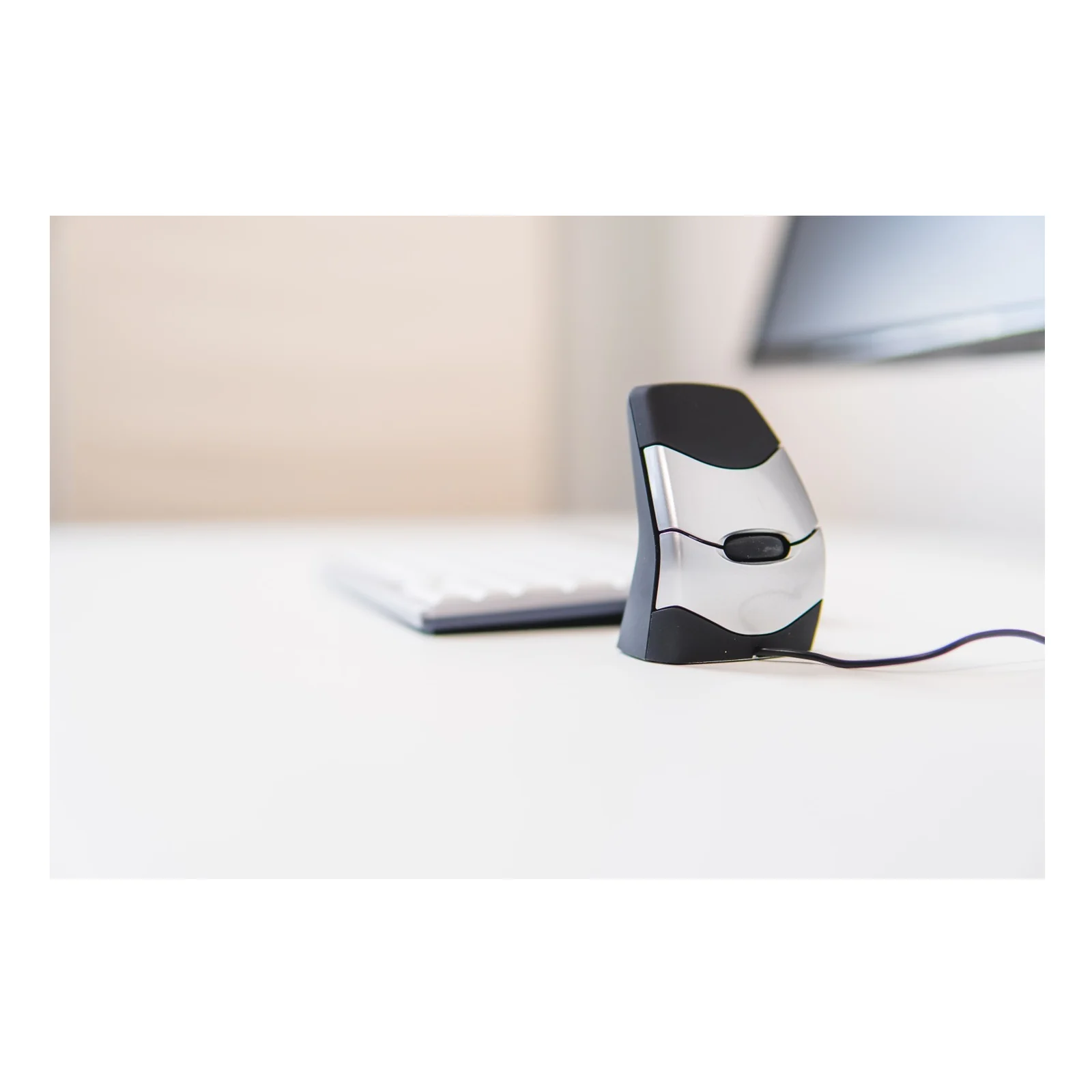 BakkerElkhuizen DXT 2 Precision Mouse