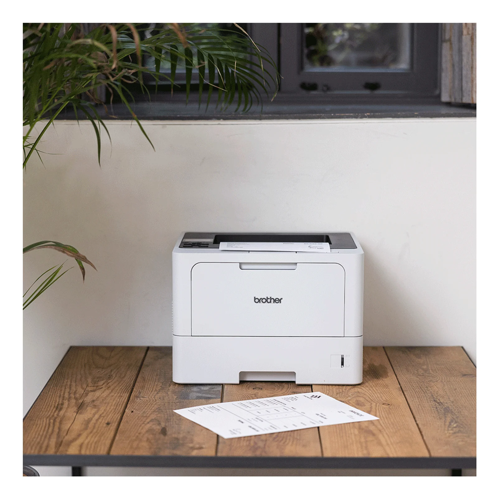 Imprimante Brother HL-L5210DN posée sur un bureau en bois en environnement bureautique avec plante verte et fenêtre en arrière-plan