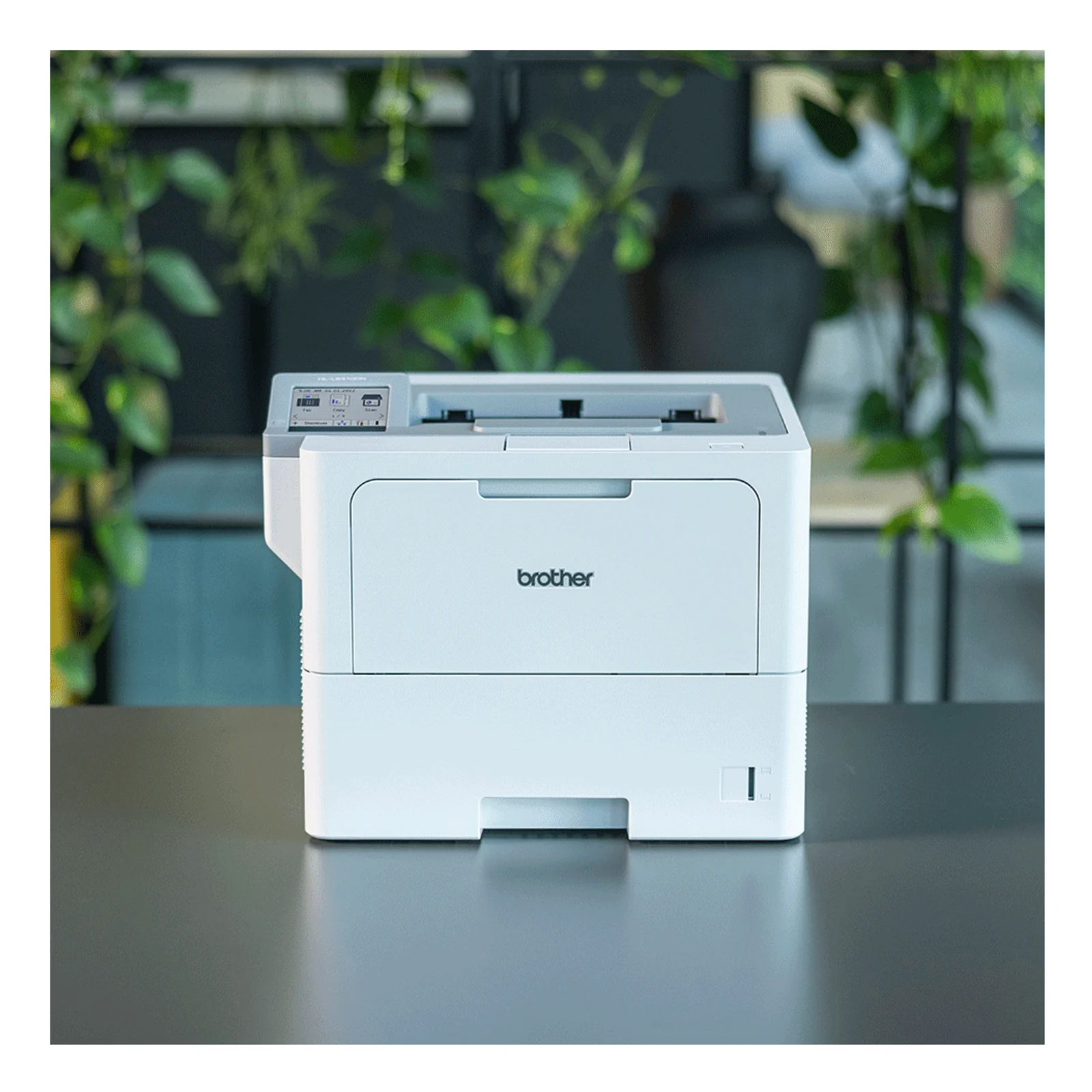 Imprimante Brother HL-L6410DN posée sur un bureau gris avec plantes vertes et étagères floues en arrière-plan