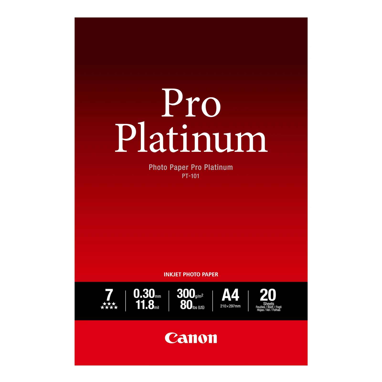 Papier photo professionnel Platinum A4 PT-101 - 20 feuilles