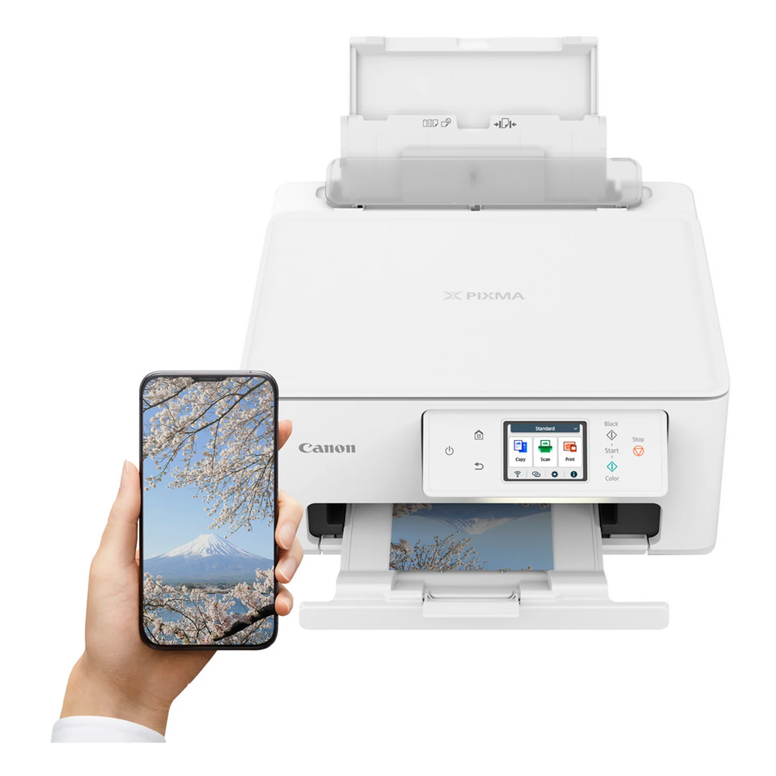 PIXMA TS7650i blanche capot scanner ouvert dévoilant la vitre d'exposition A4