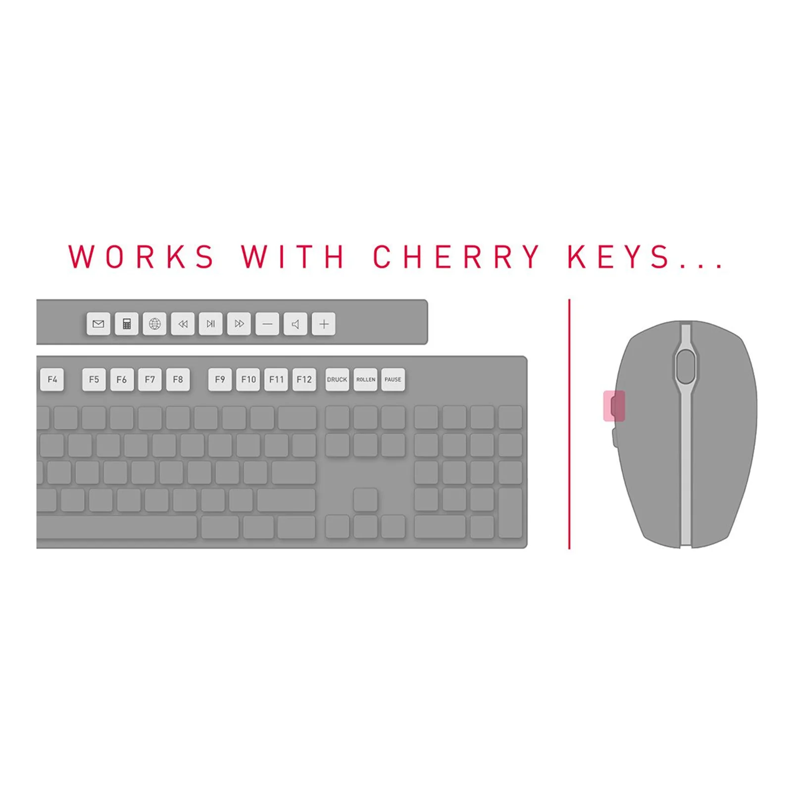CHERRY DW 3000 clavier Souris incluse Maison RF sans fil Slovène Noir
