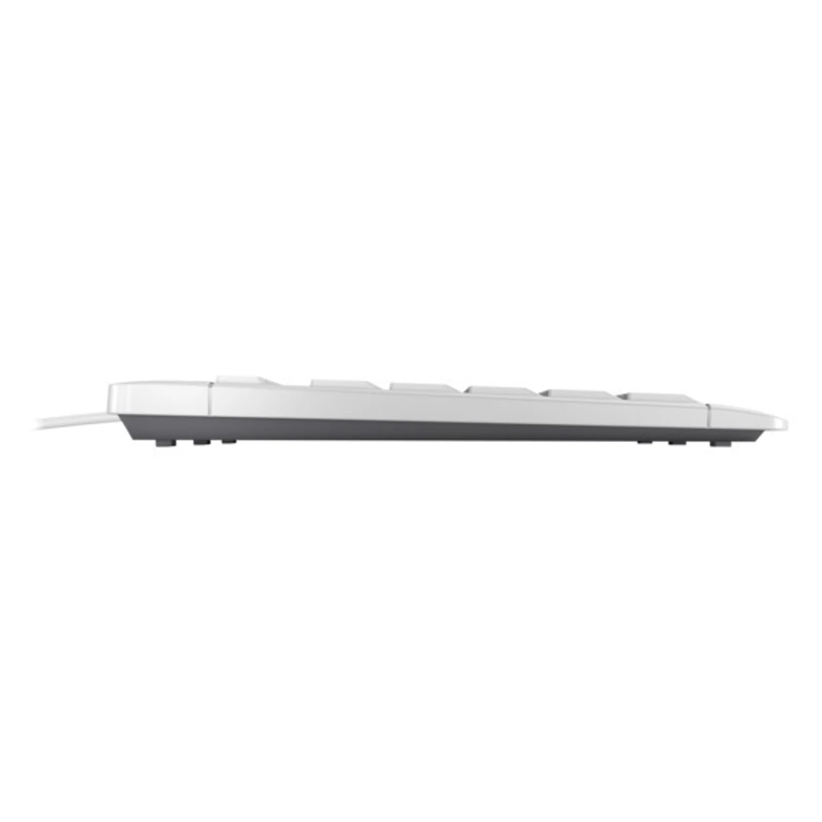 CHERRY STREAM KEYBOARD TKL clavier Universel USB QWERTZ Suisse Blanc