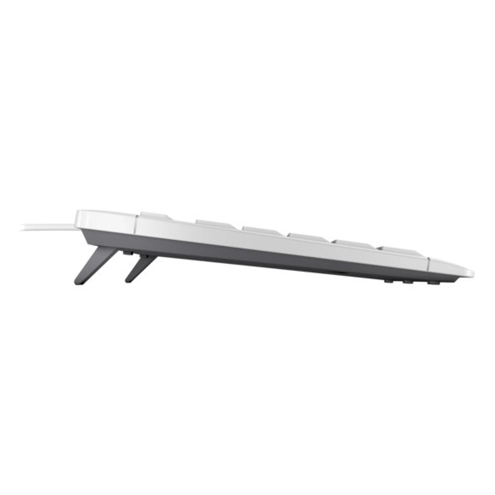 CHERRY STREAM KEYBOARD TKL clavier Universel USB QWERTZ Suisse Blanc