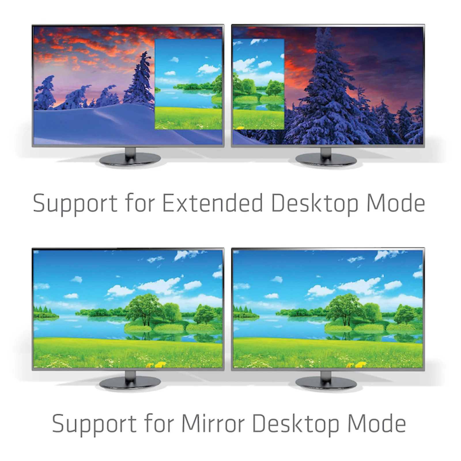 CLUB3D CSV-1555 câble vidéo et adaptateur 1,5 m USB Type-C 2 x DisplayPort Noir