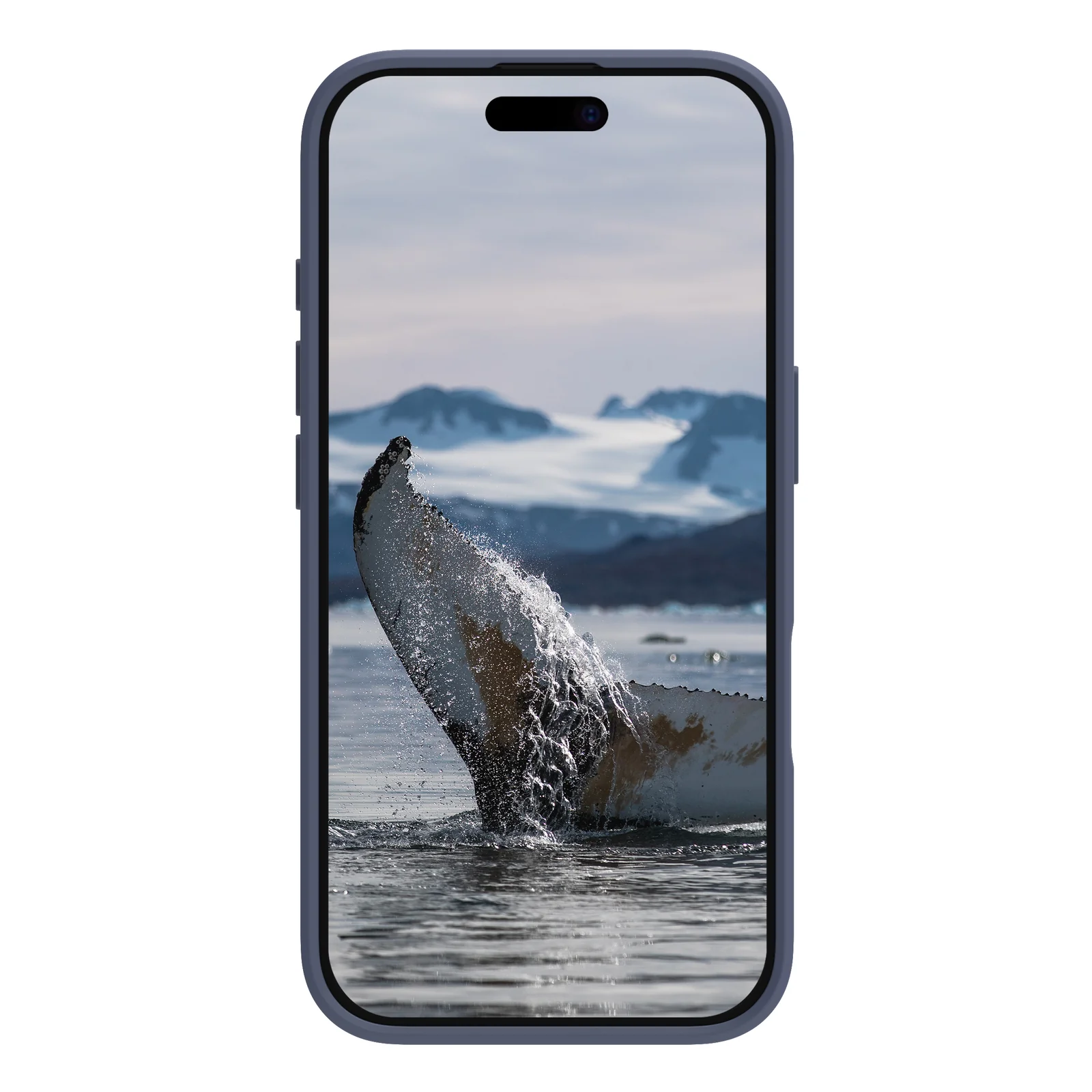 dbramante1928 Greenland coque de protection pour téléphones portables 16 cm (6.3") Housse Bleu