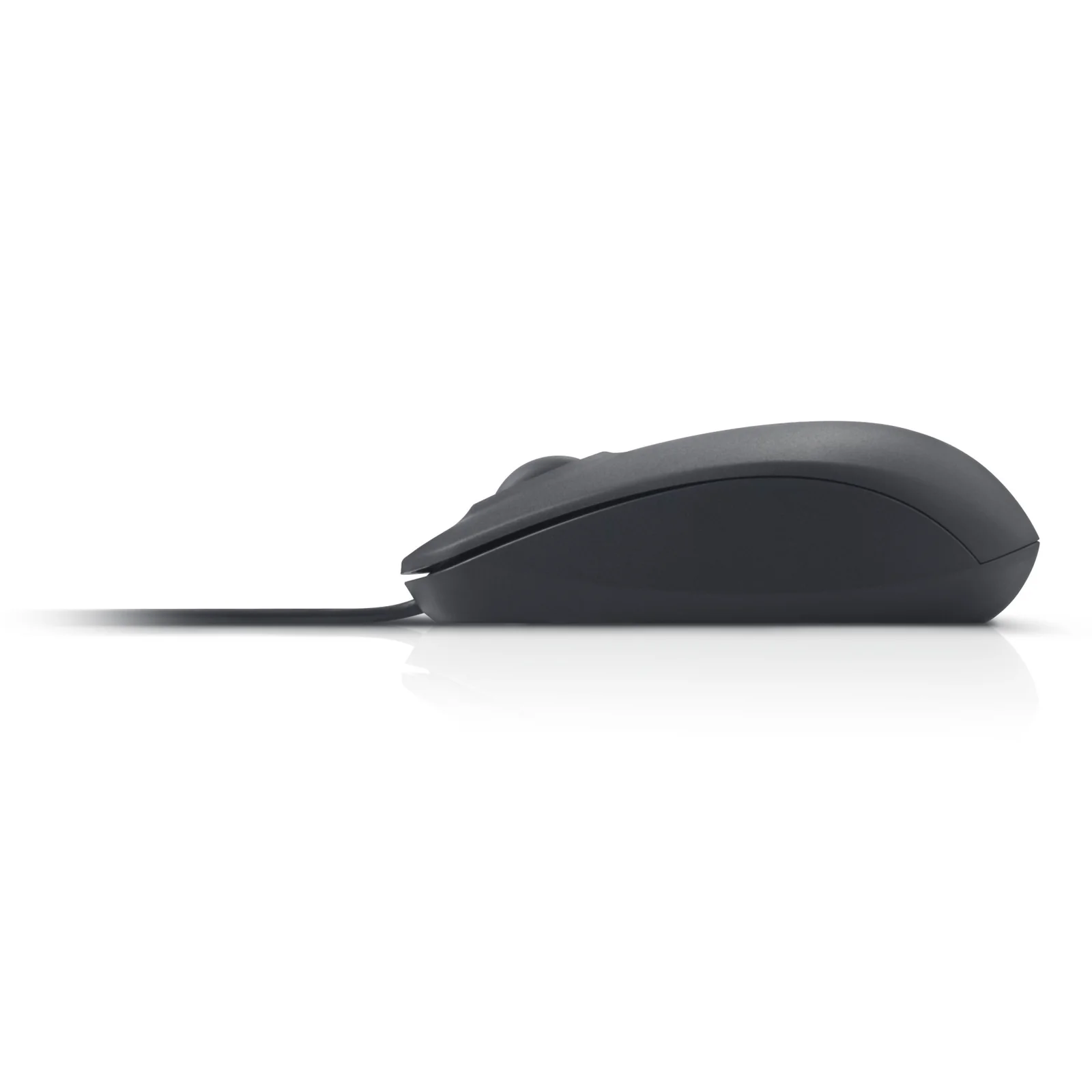 Vue de profil gauche, souris Dell MS116 noire, profil plat et compact, fond blanc