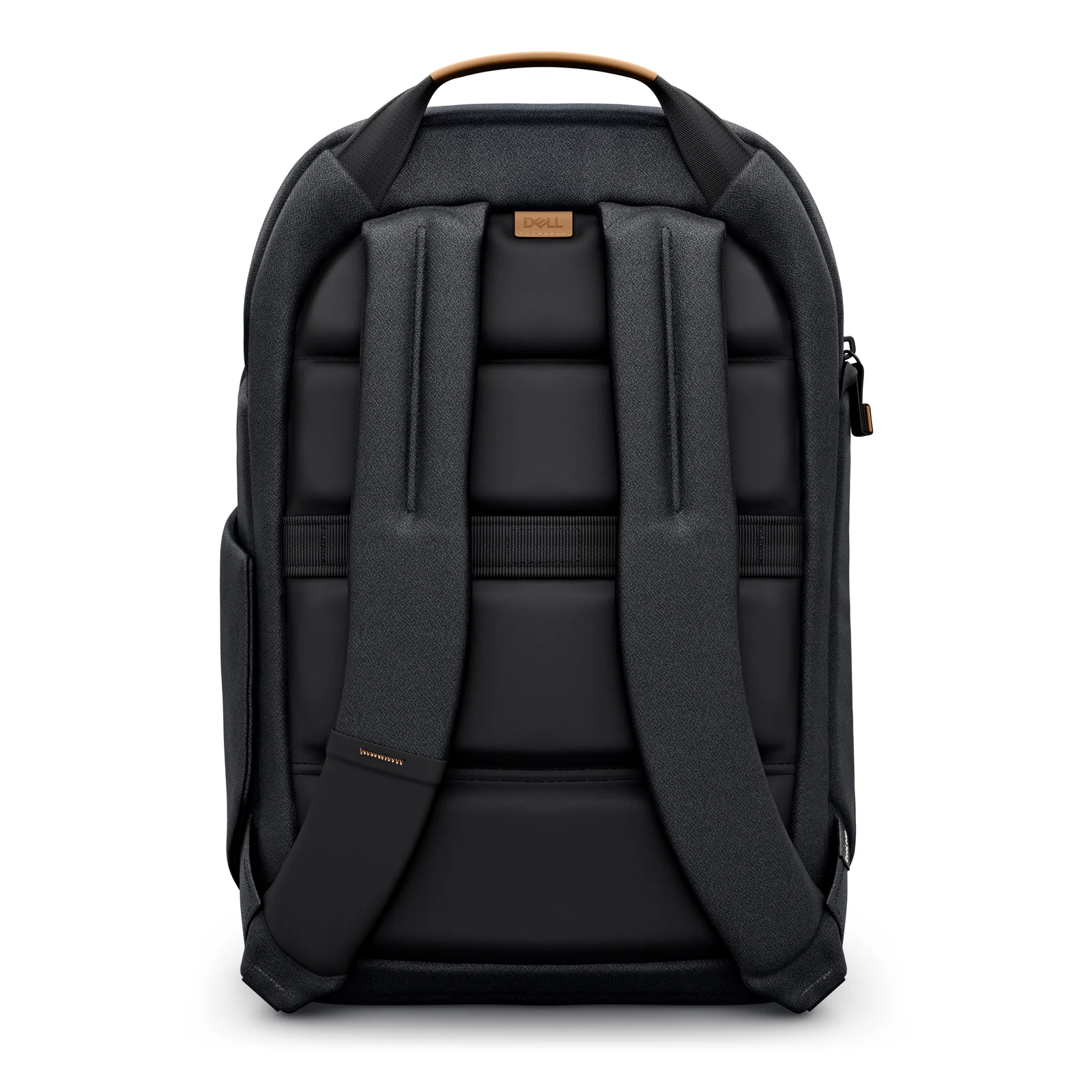 Vue arrière du sac avec dos foam ergonomique et bretelles rembourrées au profil ergonomique pour le portage