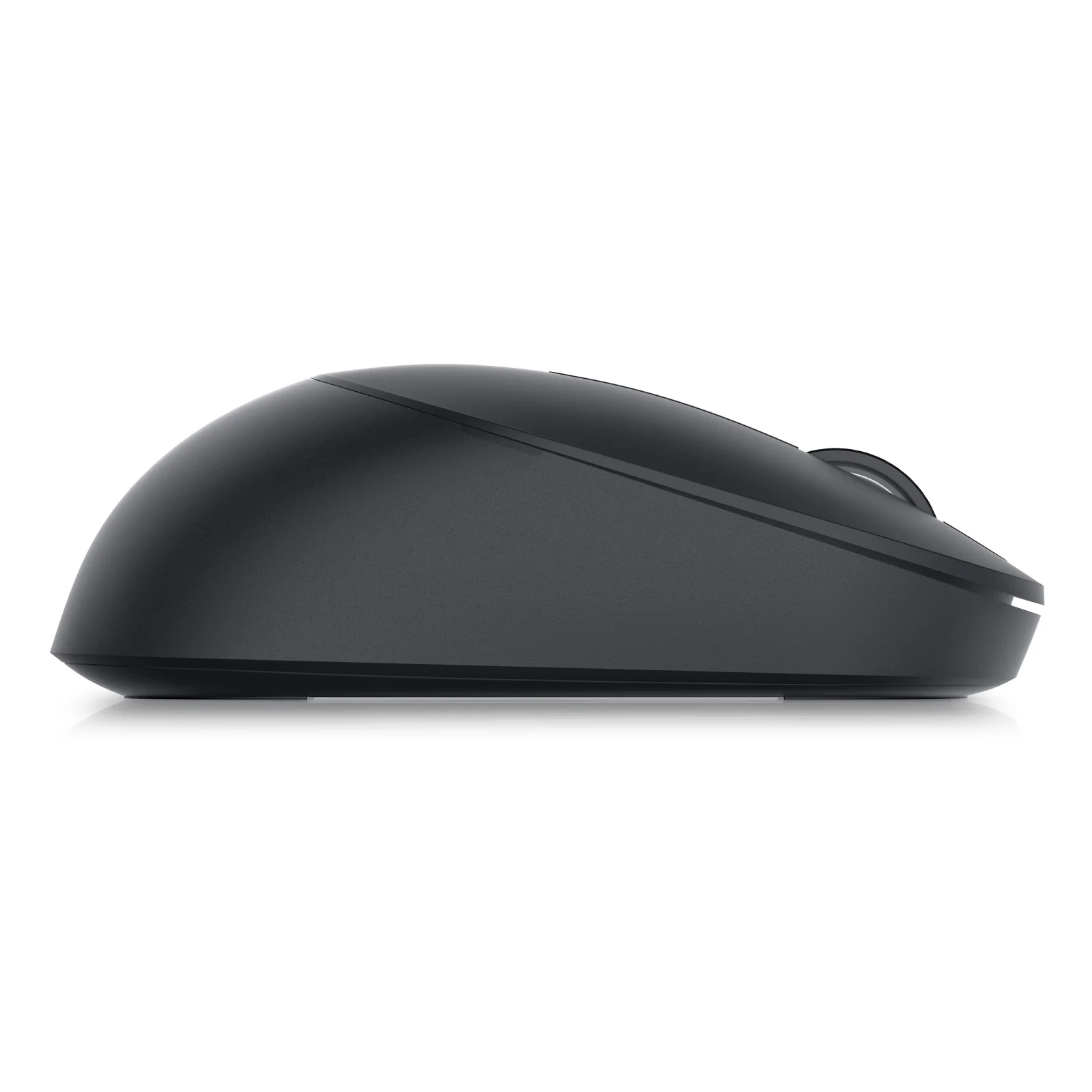 Profil droit de la souris noire avec courbure ambidextre identique au côté opposé