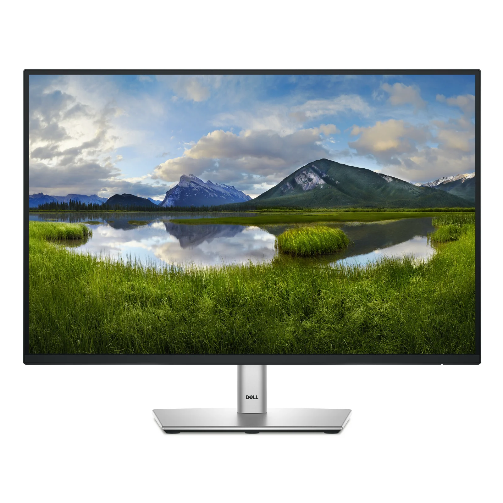 Pro Plus P2425 24,1 pouces WUXGA IPS 100 Hz