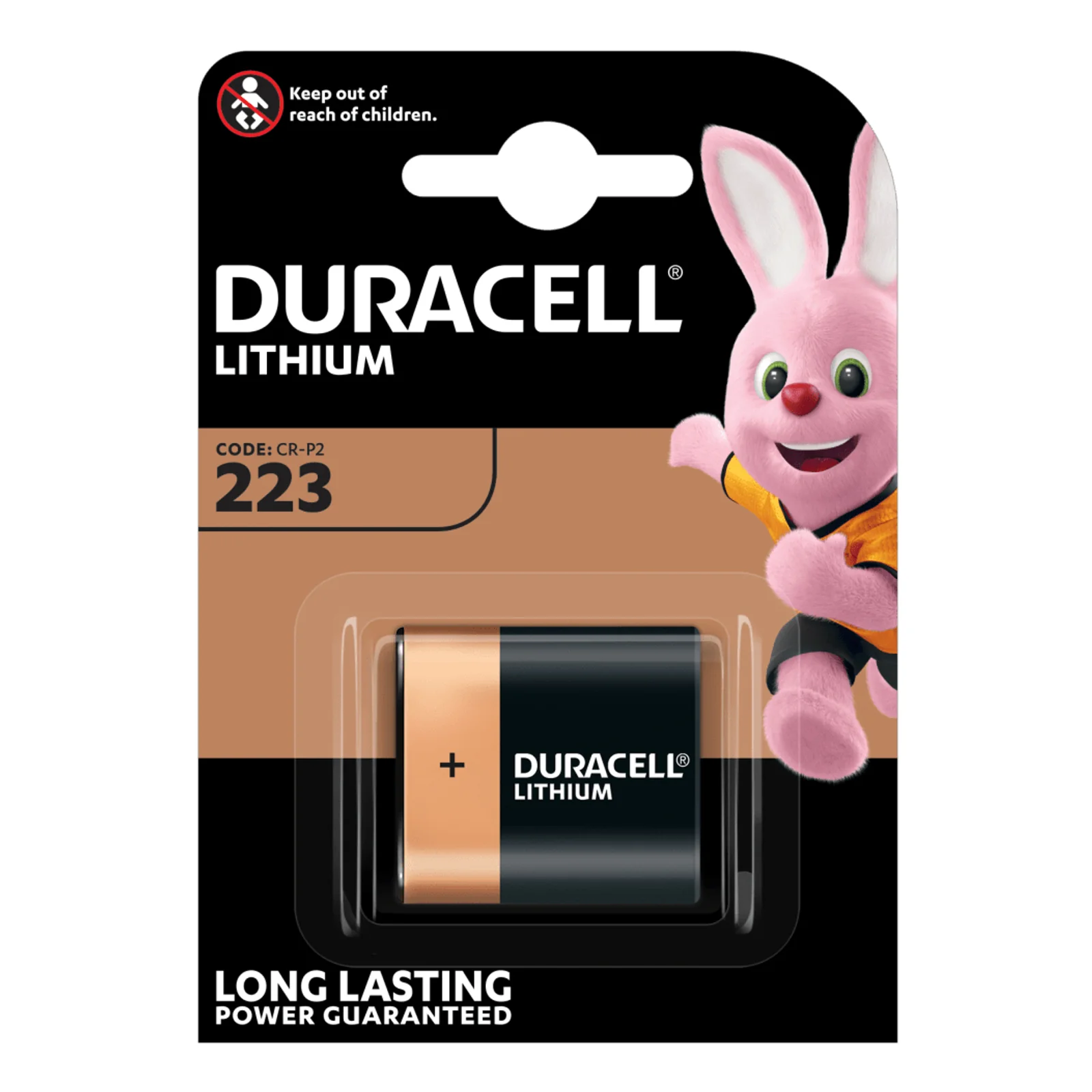 223103 pile domestique Batterie à usage unique 6V Lithium
