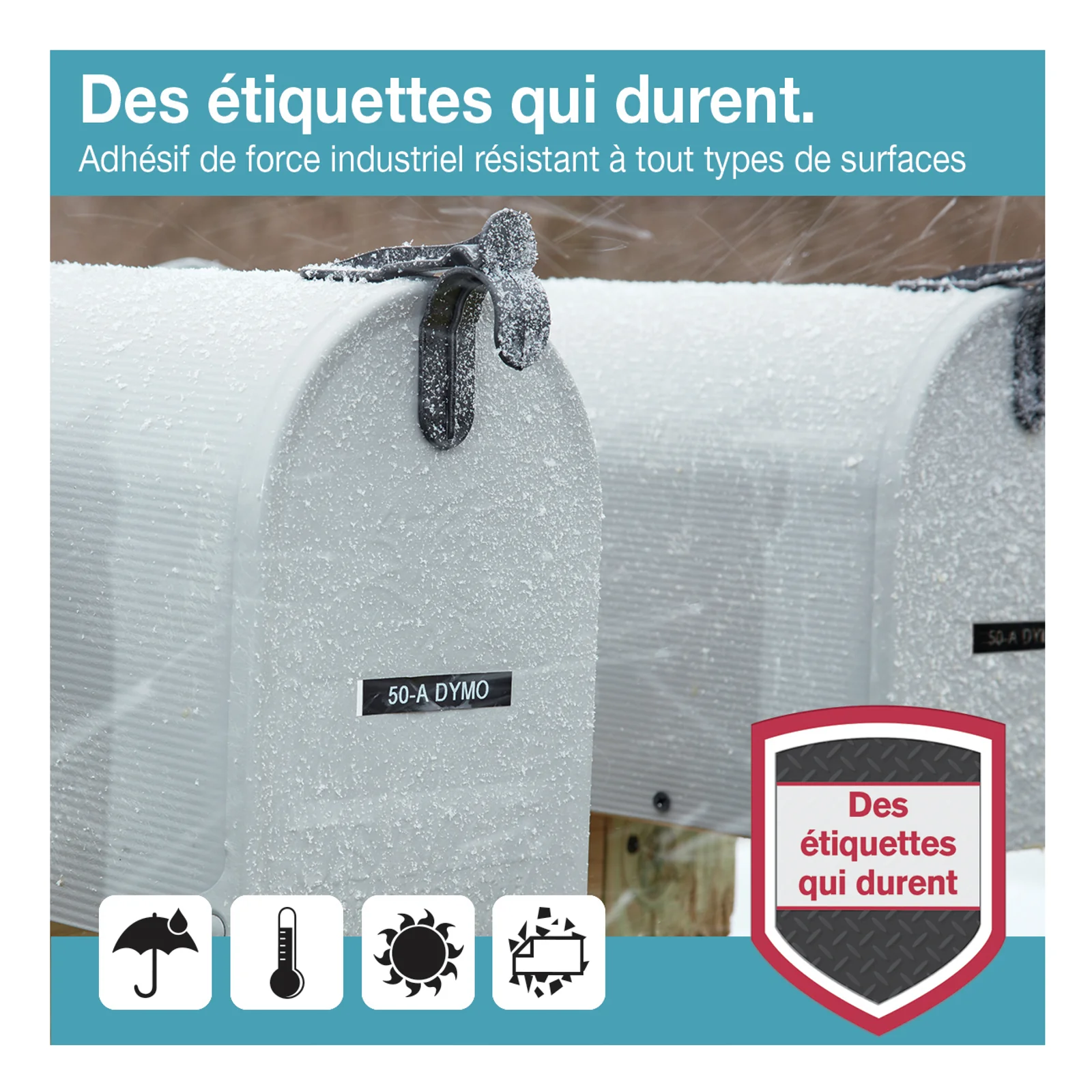 DYMO D1 Étiquettes résistantes | 12mm x 5,5m | impression en noir sur fond blanc | autocollantes étiquettes authentiques pour étiqueteuses LabelManager