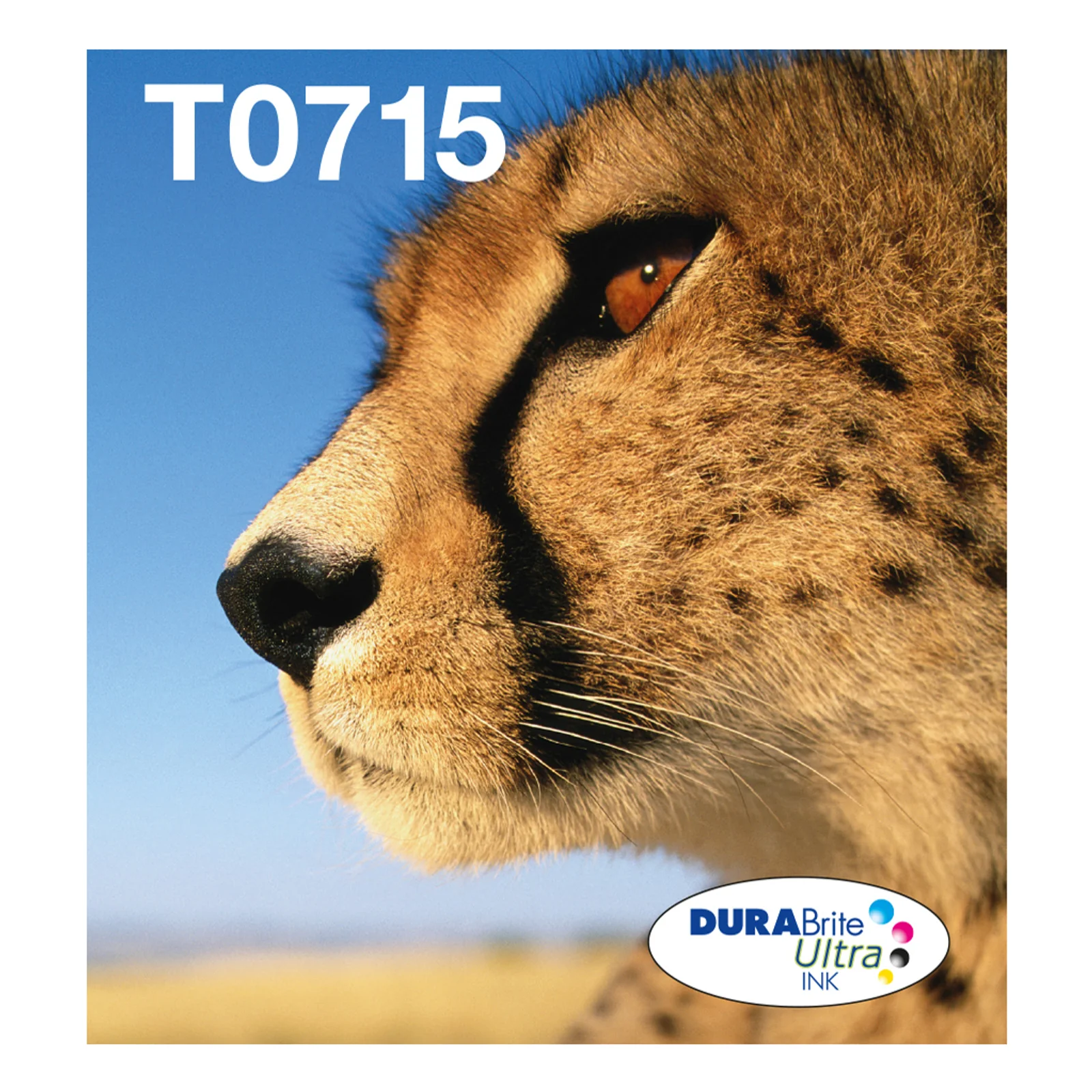 T0715 Multipack 4 couleurs DURABrite Ultra Easy Mail