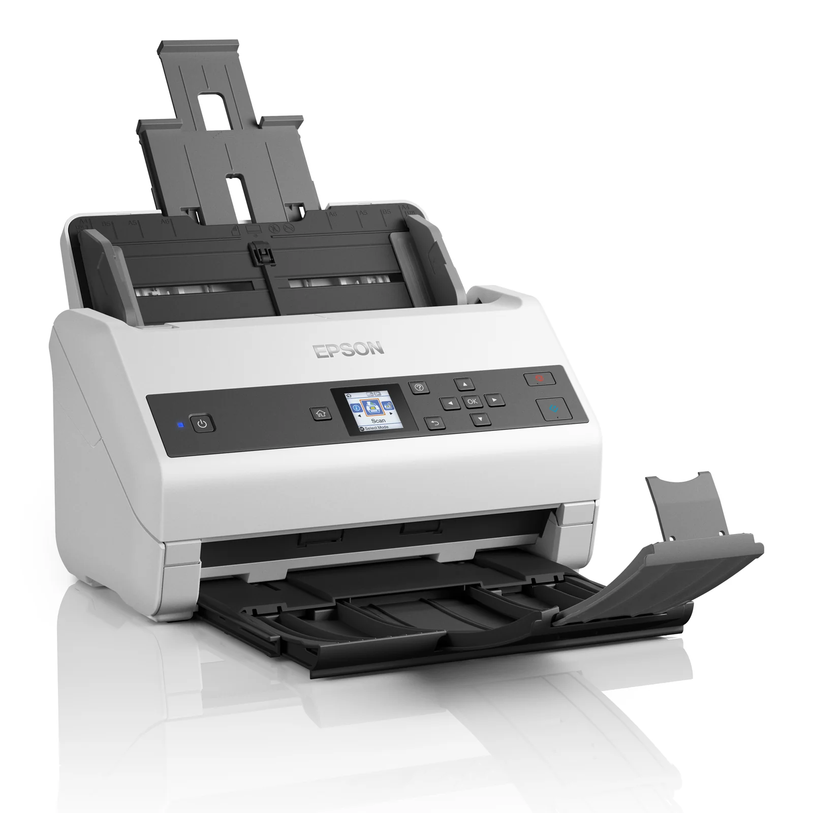 Epson WorkForce DS-970 Alimentation papier de scanner 600 x 600 DPI A4 Gris, Blanc