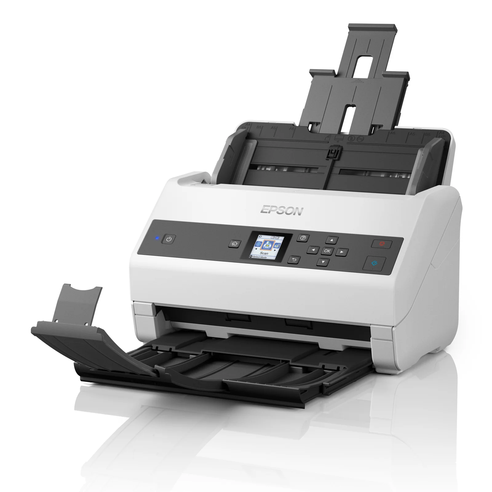 Epson WorkForce DS-970 Alimentation papier de scanner 600 x 600 DPI A4 Gris, Blanc
