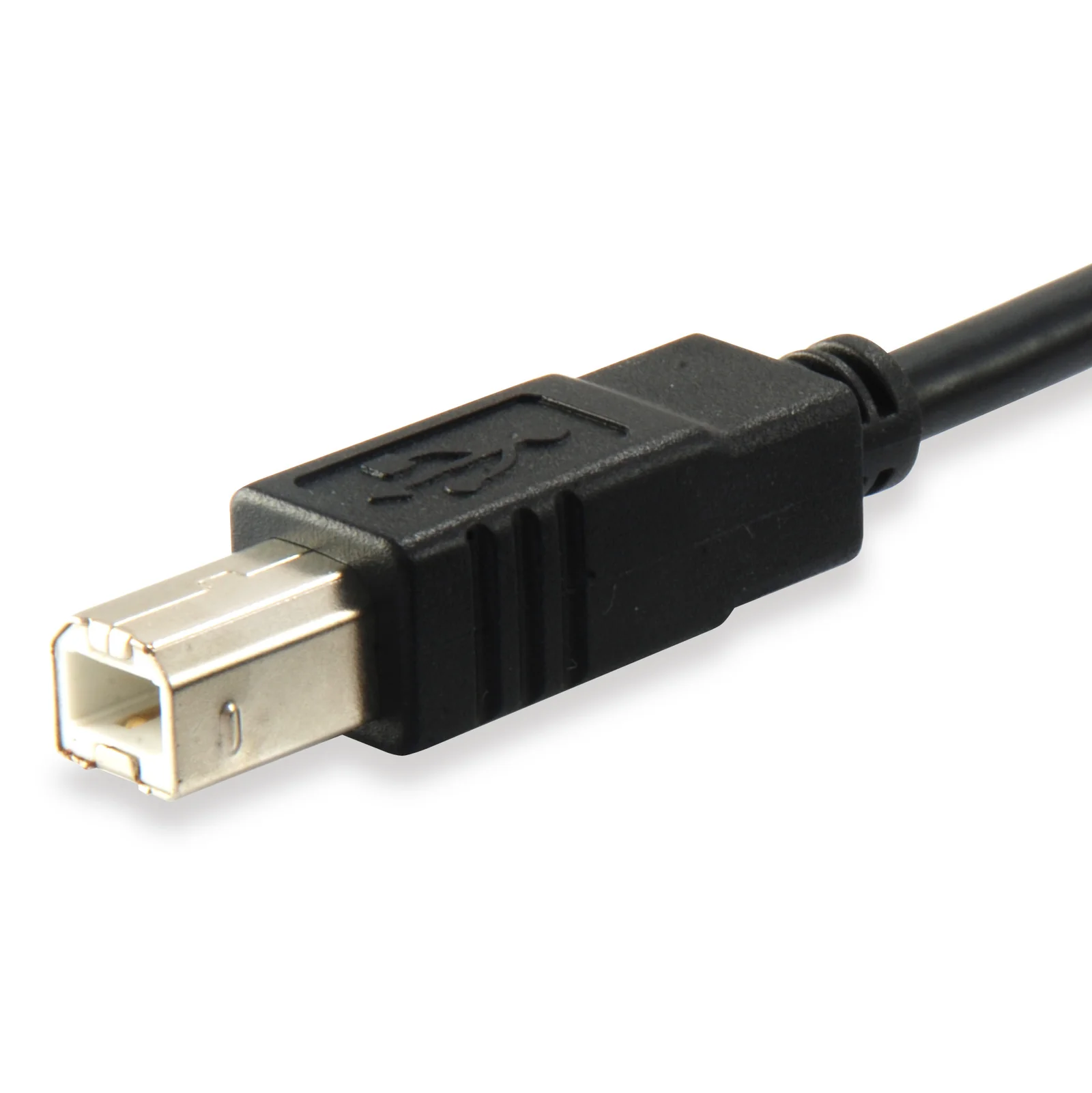 Equip Câble USB 2.0 C vers B, M/M, 1,0m