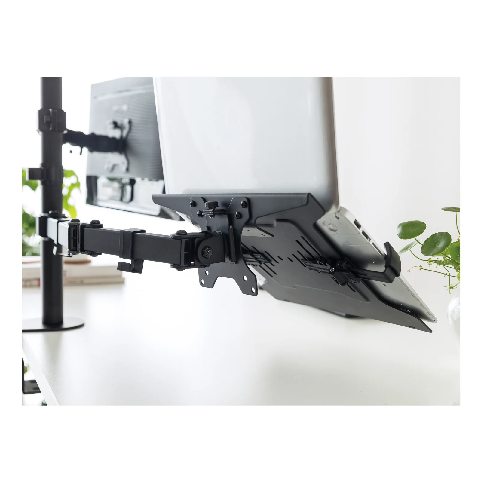 Equip Support pour ordinateur portable 10"-15,6