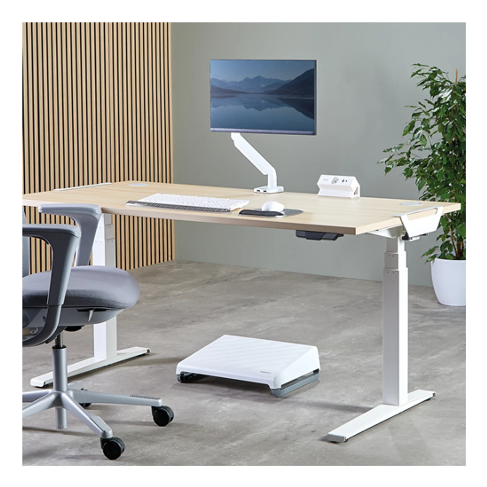Fellowes 100137173 multiprise 2 m 1 sortie(s) CA Intérieure Blanc