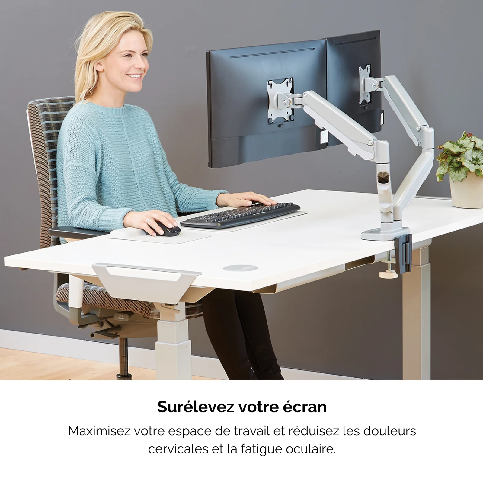 Fellowes Eppa 9683301 support d'écran plat pour bureau 101,6 cm (40") Argent