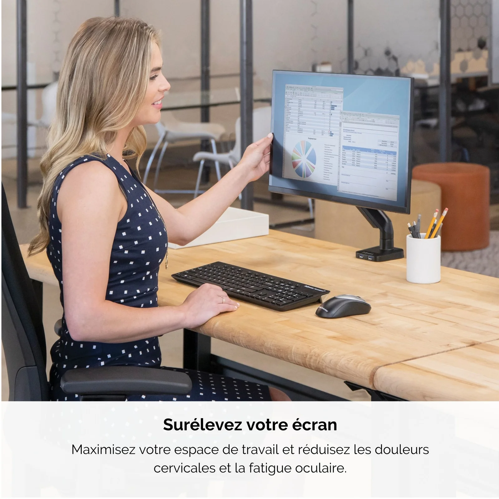 Fellowes Platinum Series Bras porte-écran simple - Noir