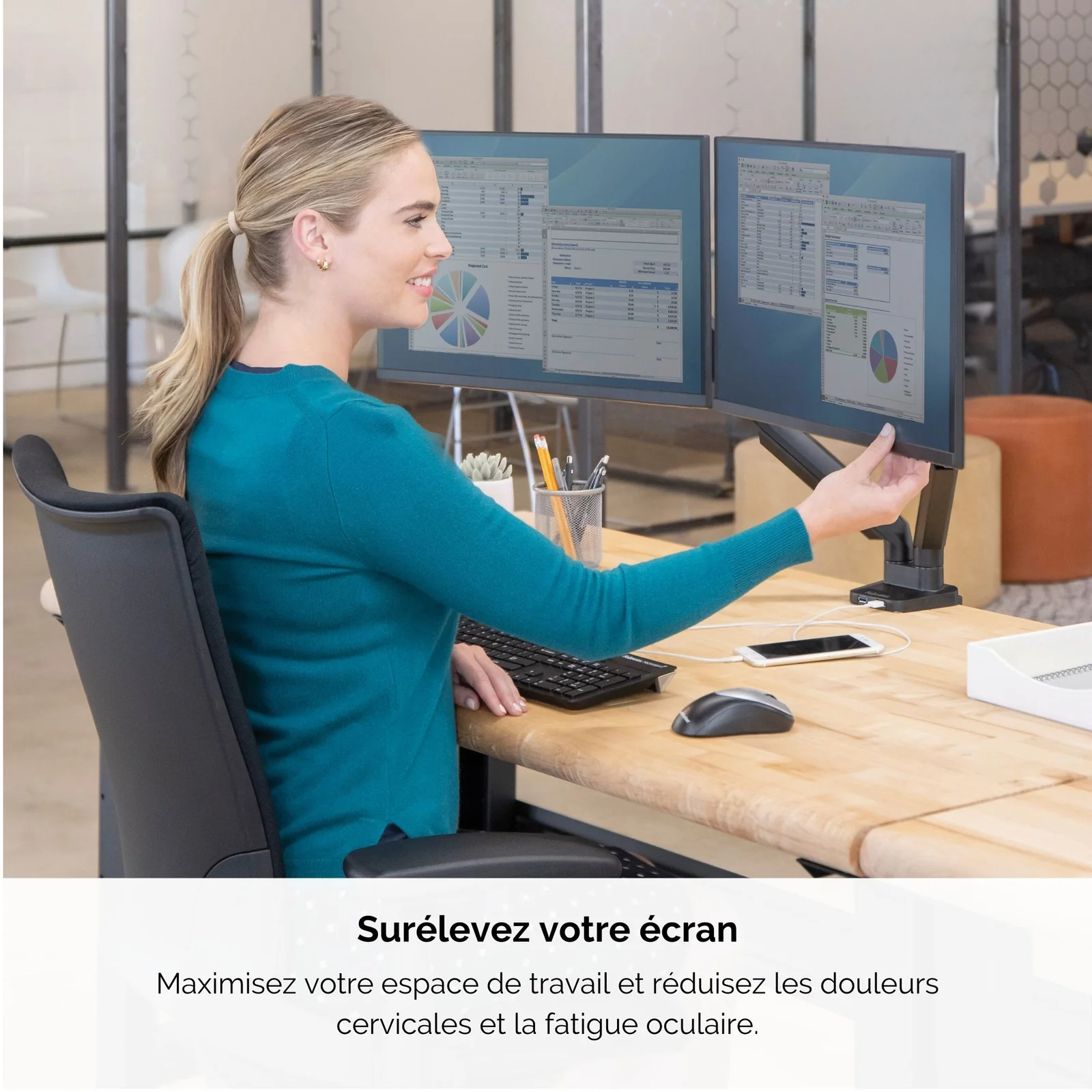 Fellowes Platinum Series Bras porte-écrans double