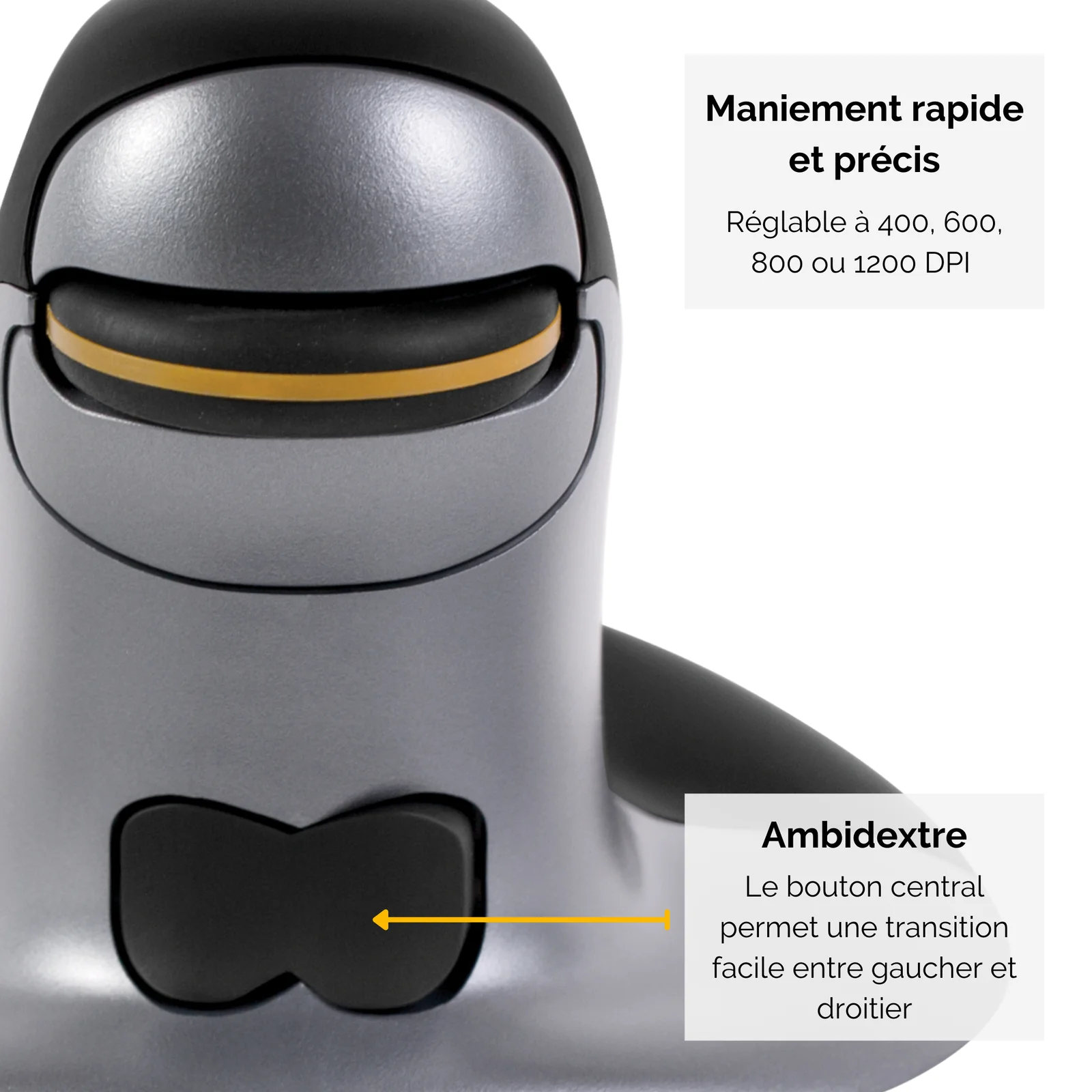 Fellowes Souris verticale ambidextre Penguin – Sans fil - Grand