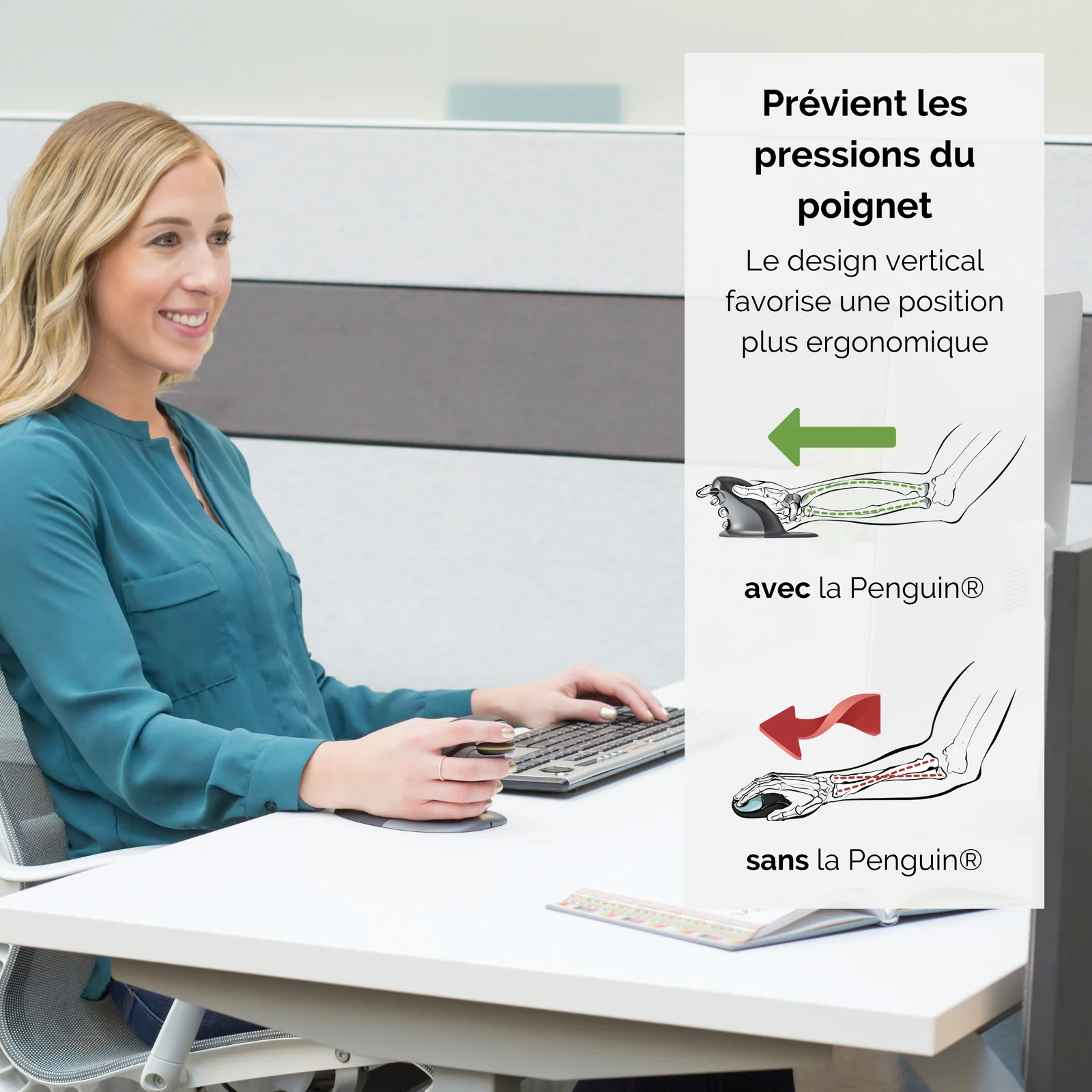 Fellowes Souris verticale ambidextre Penguin – Sans fil - Grand