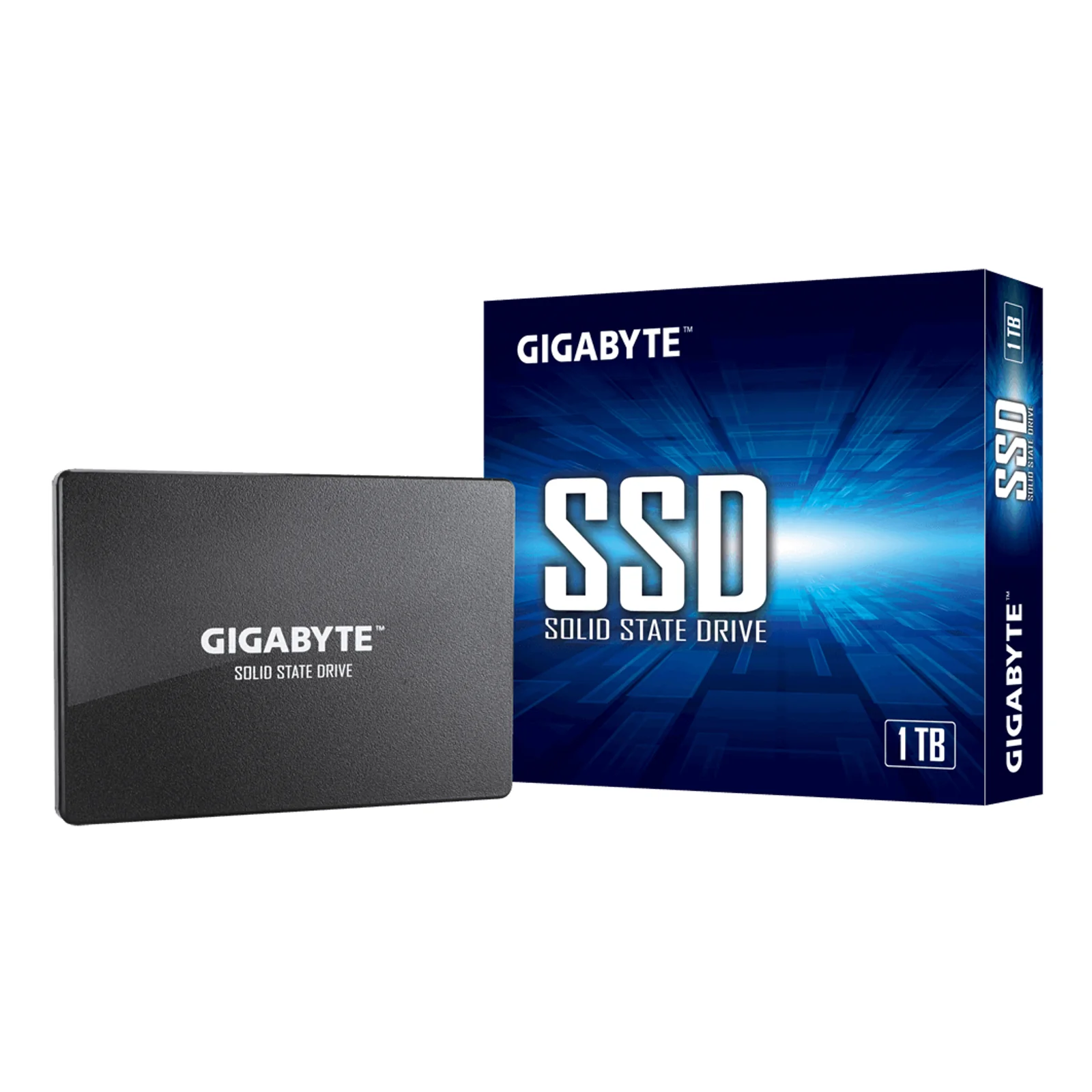 GP-GSTFS31100TNTD disque SSD 1 To 2.5" SATA