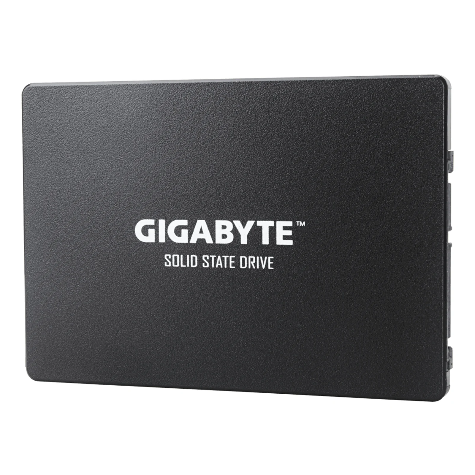 GIGABYTE GP-GSTFS31100TNTD disque SSD 1 To 2.5" SATA