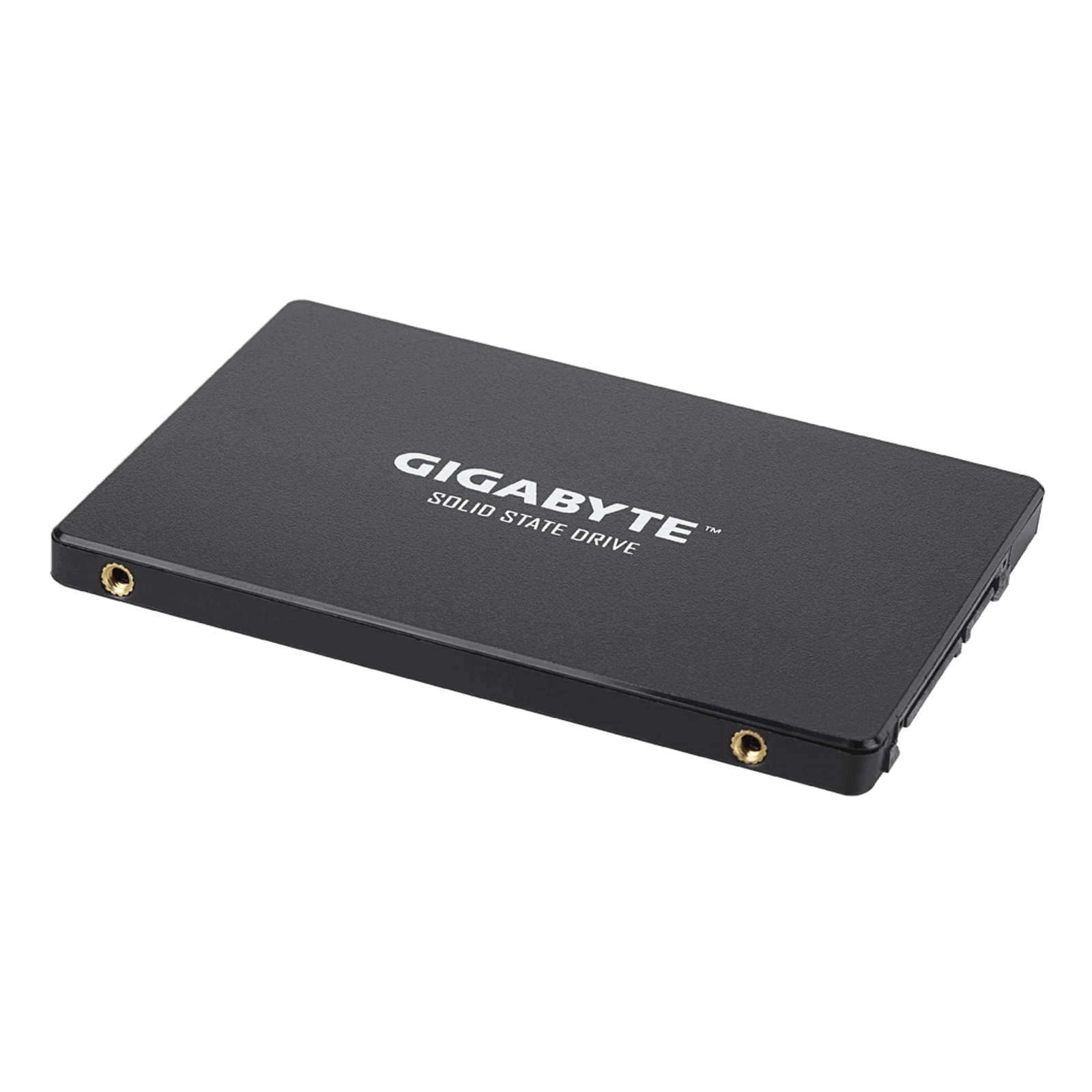 GIGABYTE GP-GSTFS31100TNTD disque SSD 1 To 2.5" SATA
