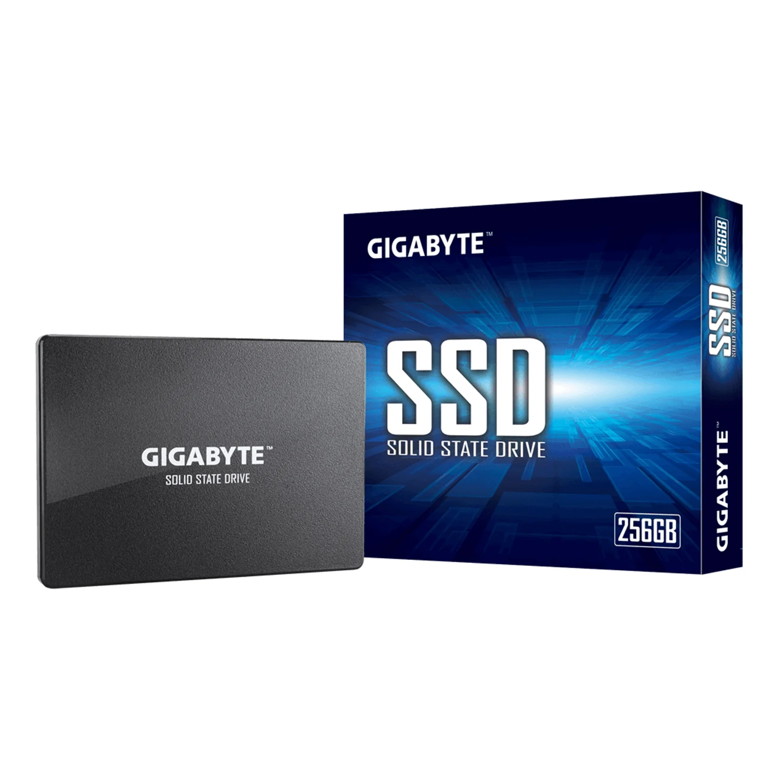GP-GSTFS31256GTND disque SSD 256 Go 2.5" Série ATA III V-NAND