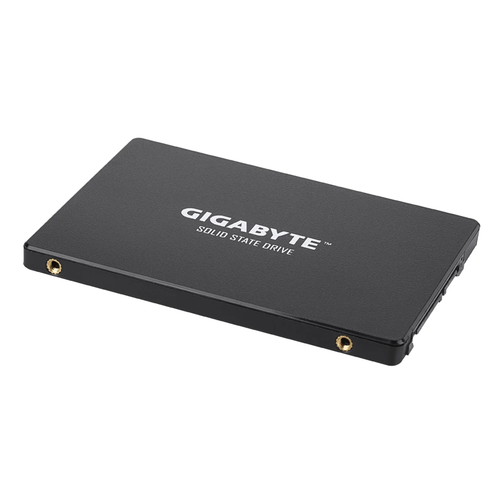 GIGABYTE GP-GSTFS31256GTND disque SSD 256 Go 2.5" Série ATA III V-NAND