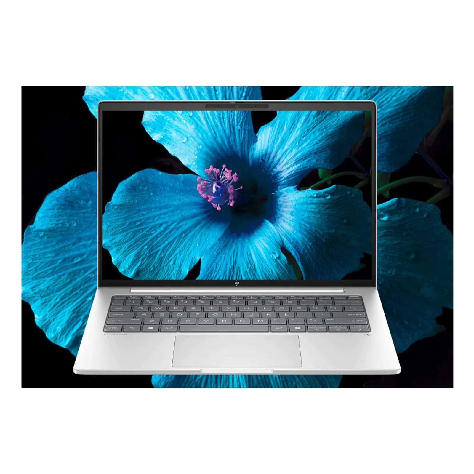 HP EliteBook 8 G1i 14 inch Notebook AI PC Wolf Pro Security Edition Intel Core Ultra 5 225U Ordinateur portable 35,6 cm (14") WUXGA 16 Go DDR5-SDRAM 512 Go SSD Wi-Fi 7 (802.11be) Windows 11 Pro Argent