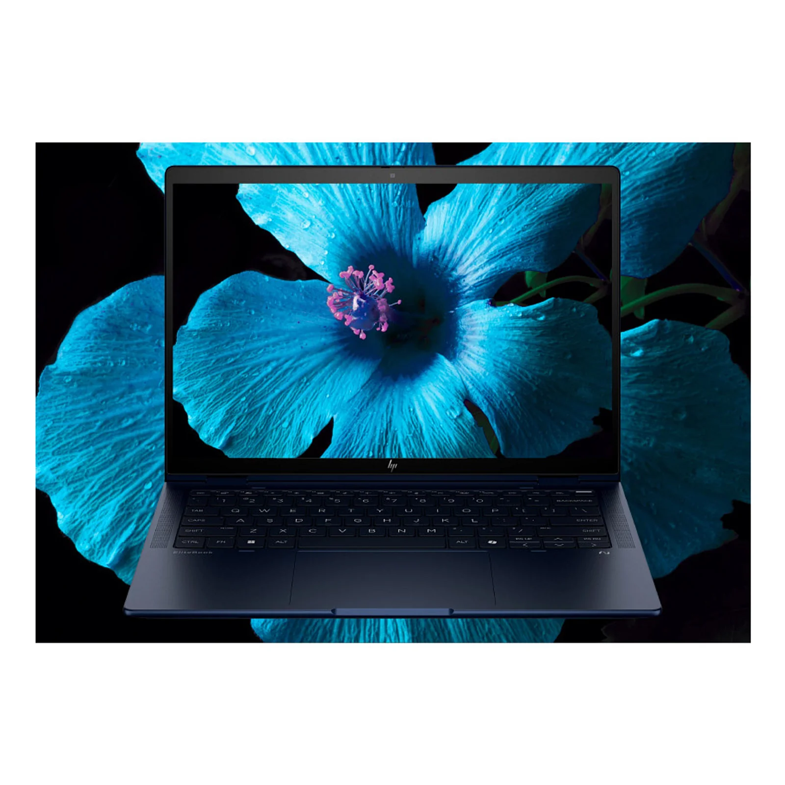 HP EliteBook X Flip G1i Next Gen AI Wolf Pro Security Edition Copilot+ PC Intel Core Ultra 5 228V Hybride (2-en-1) 35,6 cm (14") Écran tactile WUXGA 32 Go LPDDR5x-SDRAM 512 Go SSD Wi-Fi 7 (802.11be) Windows 11 Pro Bleu