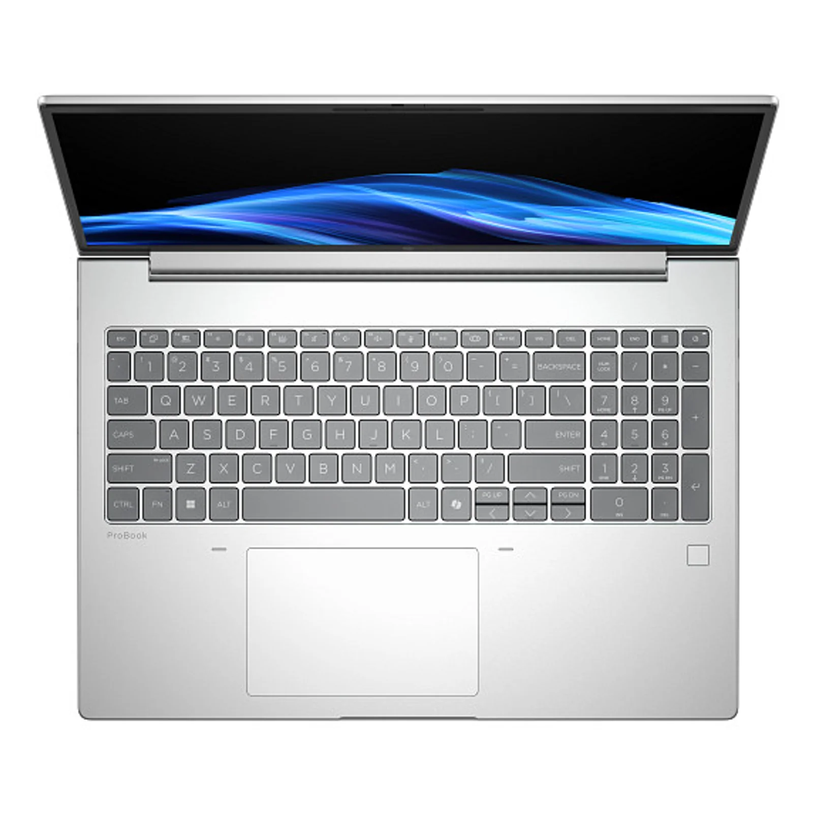 HP ProBook 4 G1a AI PC AMD Ryzen™ 5 230 Ordinateur portable 40,6 cm (16") WUXGA 8 Go DDR5-SDRAM 512 Go SSD Wi-Fi 7 (802.11be) Windows 11 Pro Argent