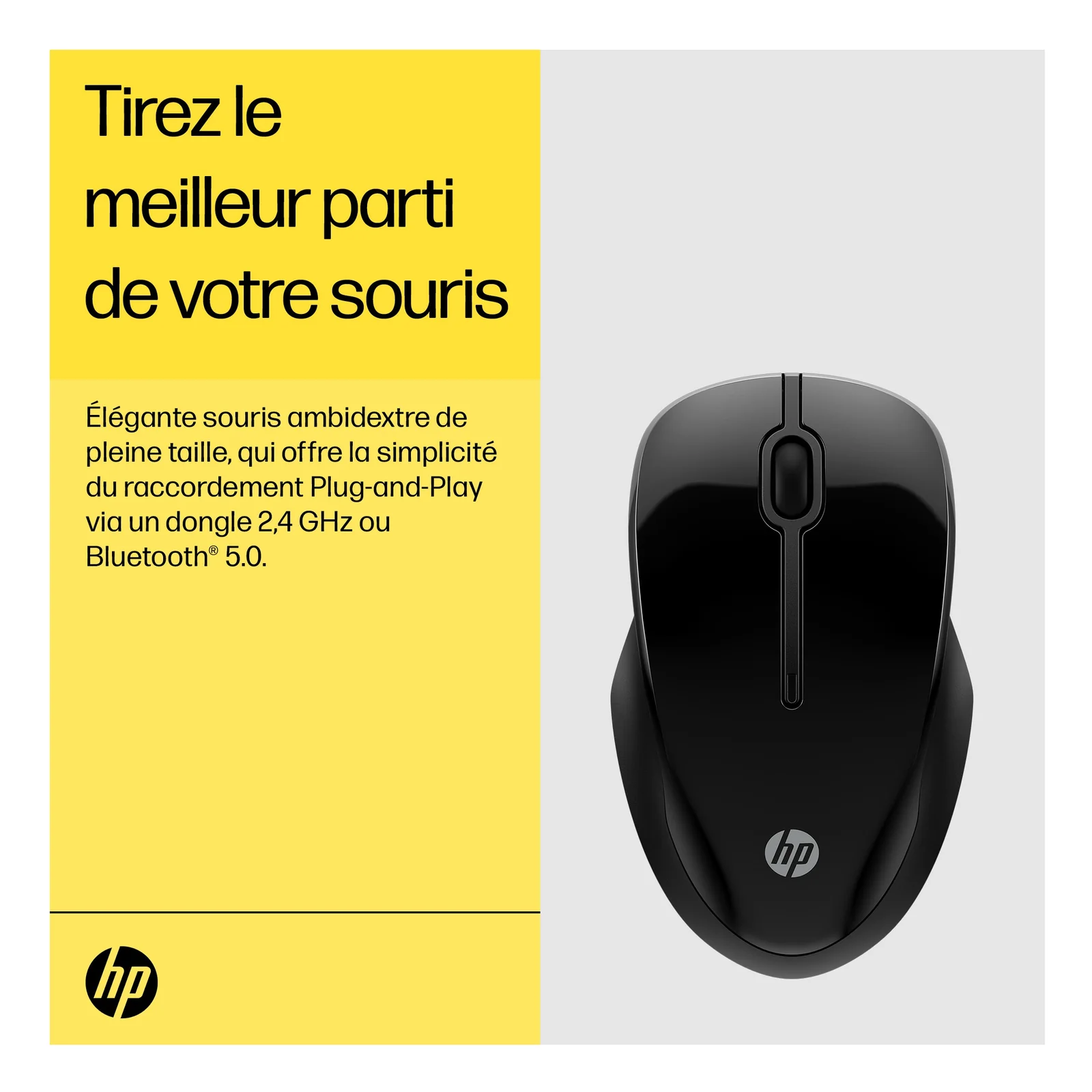 HP Souris double 250