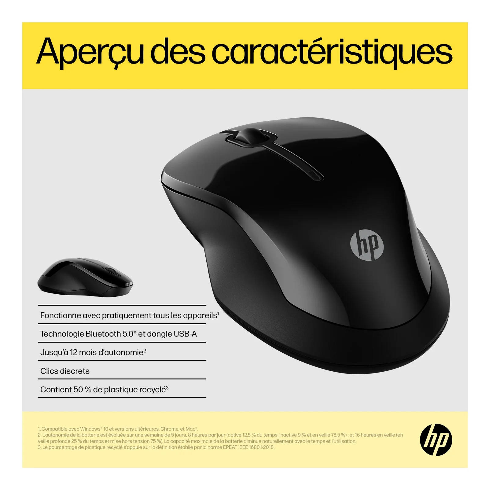 HP Souris double 250