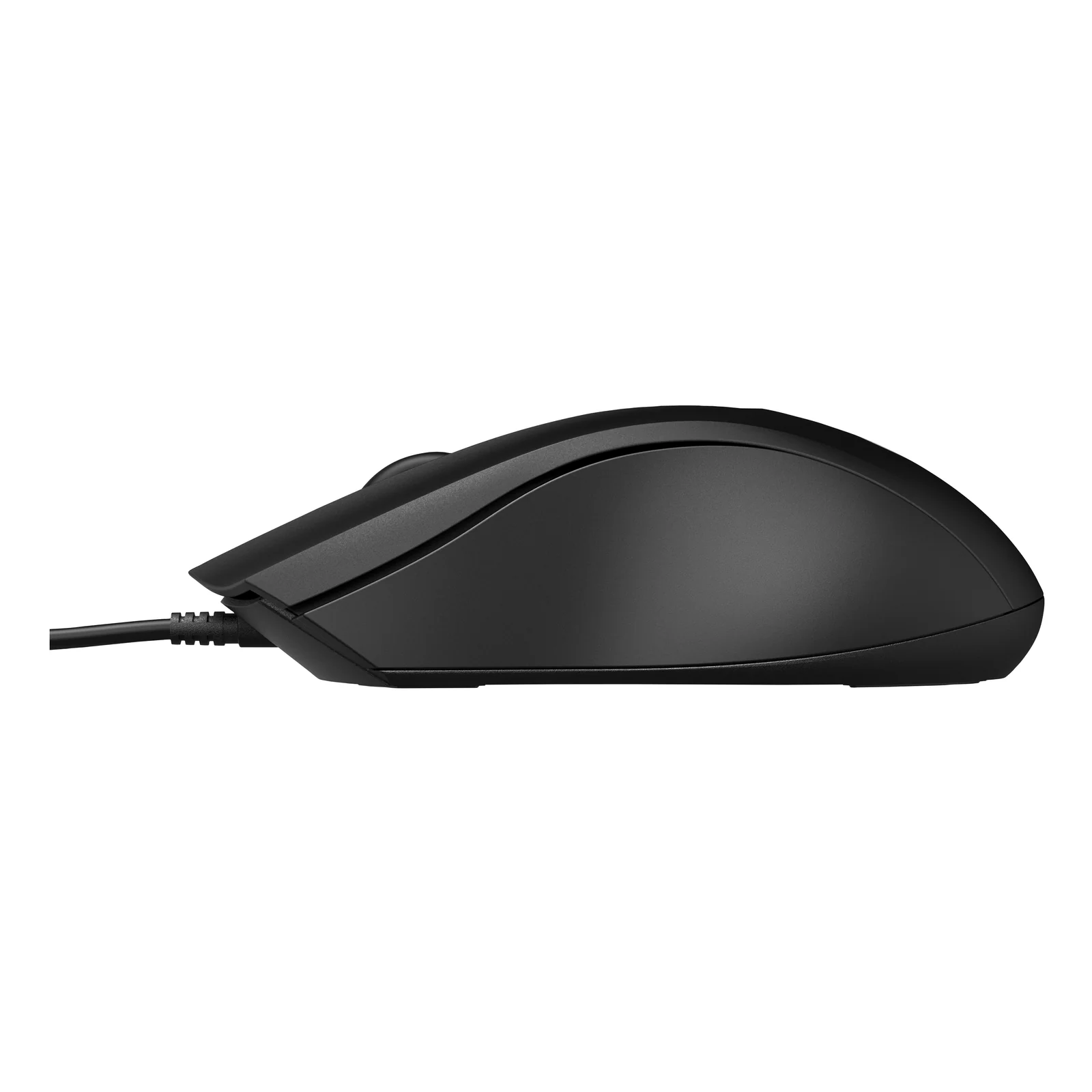 HP Souris filaire 100