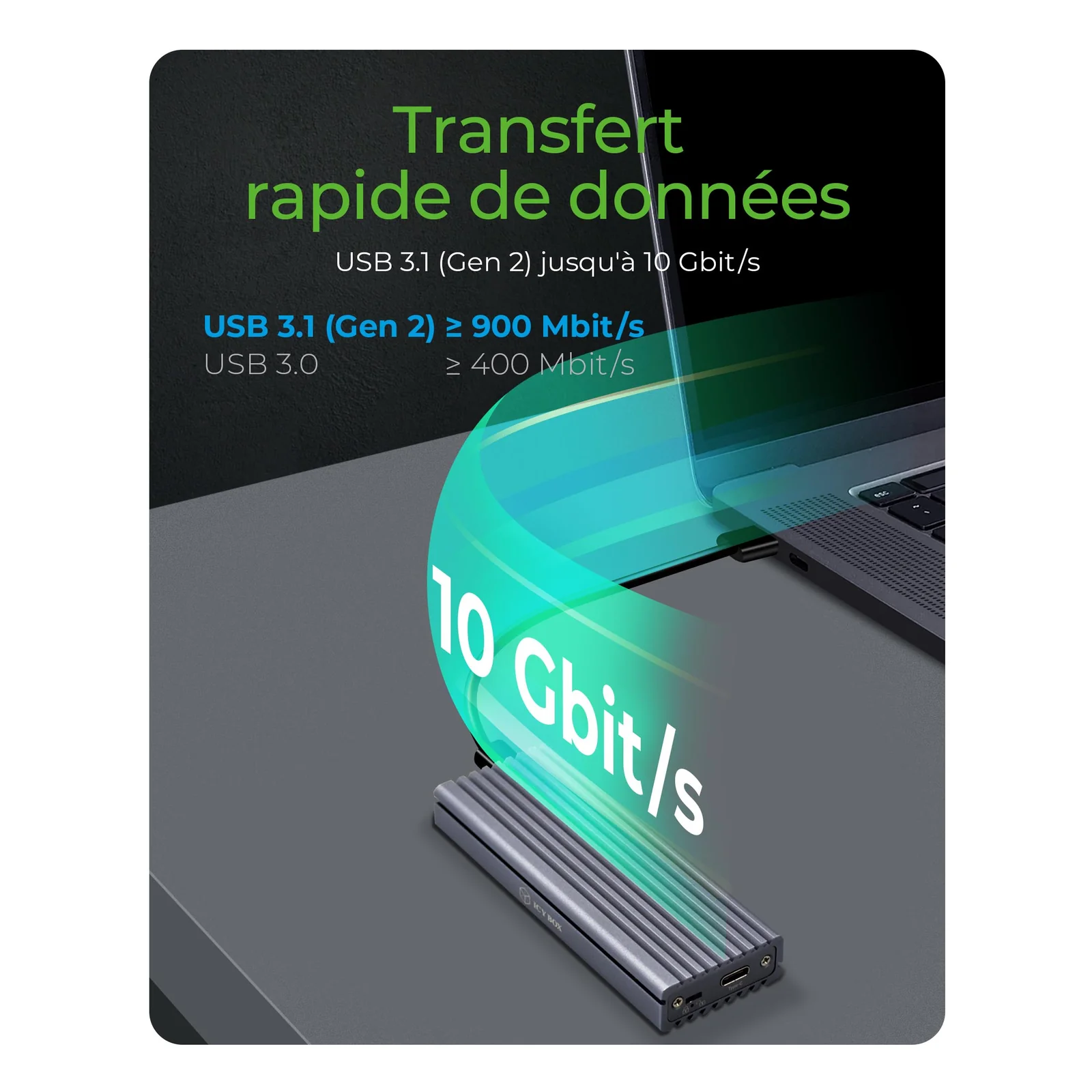 ICY BOX IB-1817M-C31 Enceinte ssd Gris M.2