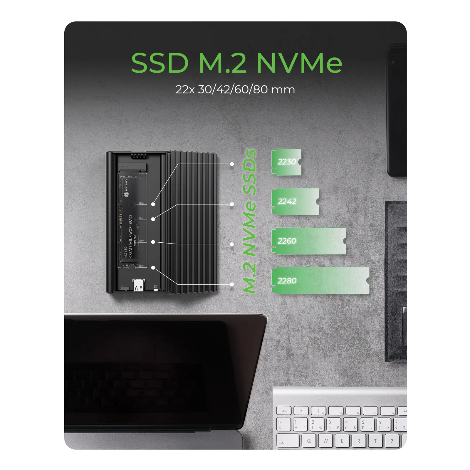 ICY BOX IB-1917M-C32a Enceinte ssd Noir M.2