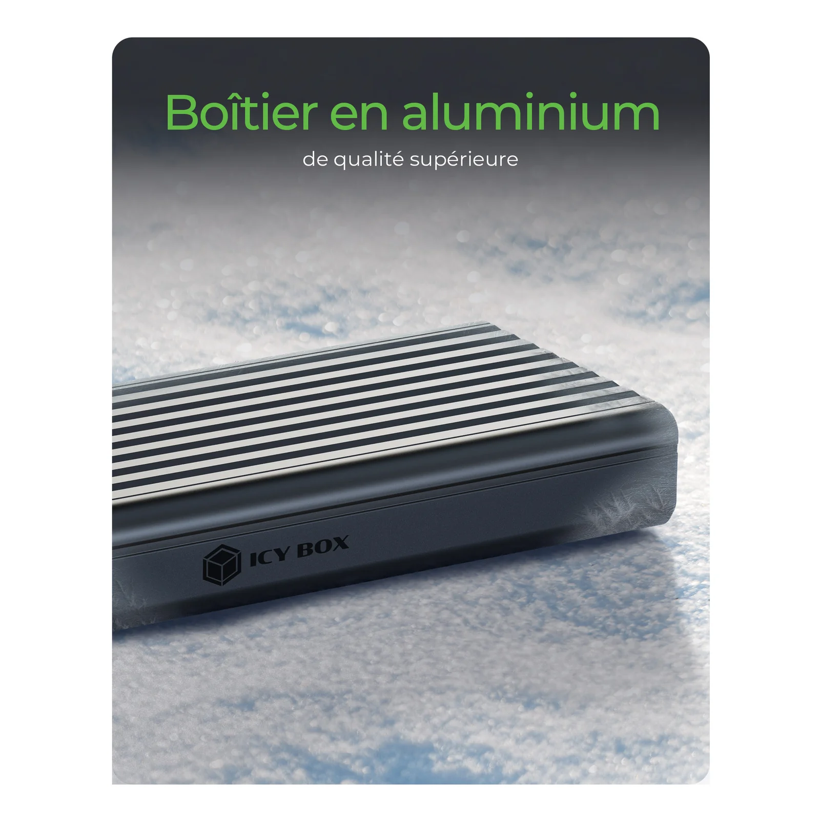 ICY BOX IB-1917M-C32a Enceinte ssd Noir M.2