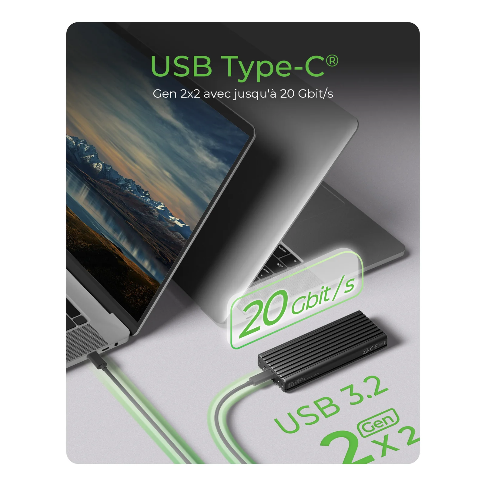 ICY BOX IB-1917M-C32a Enceinte ssd Noir M.2