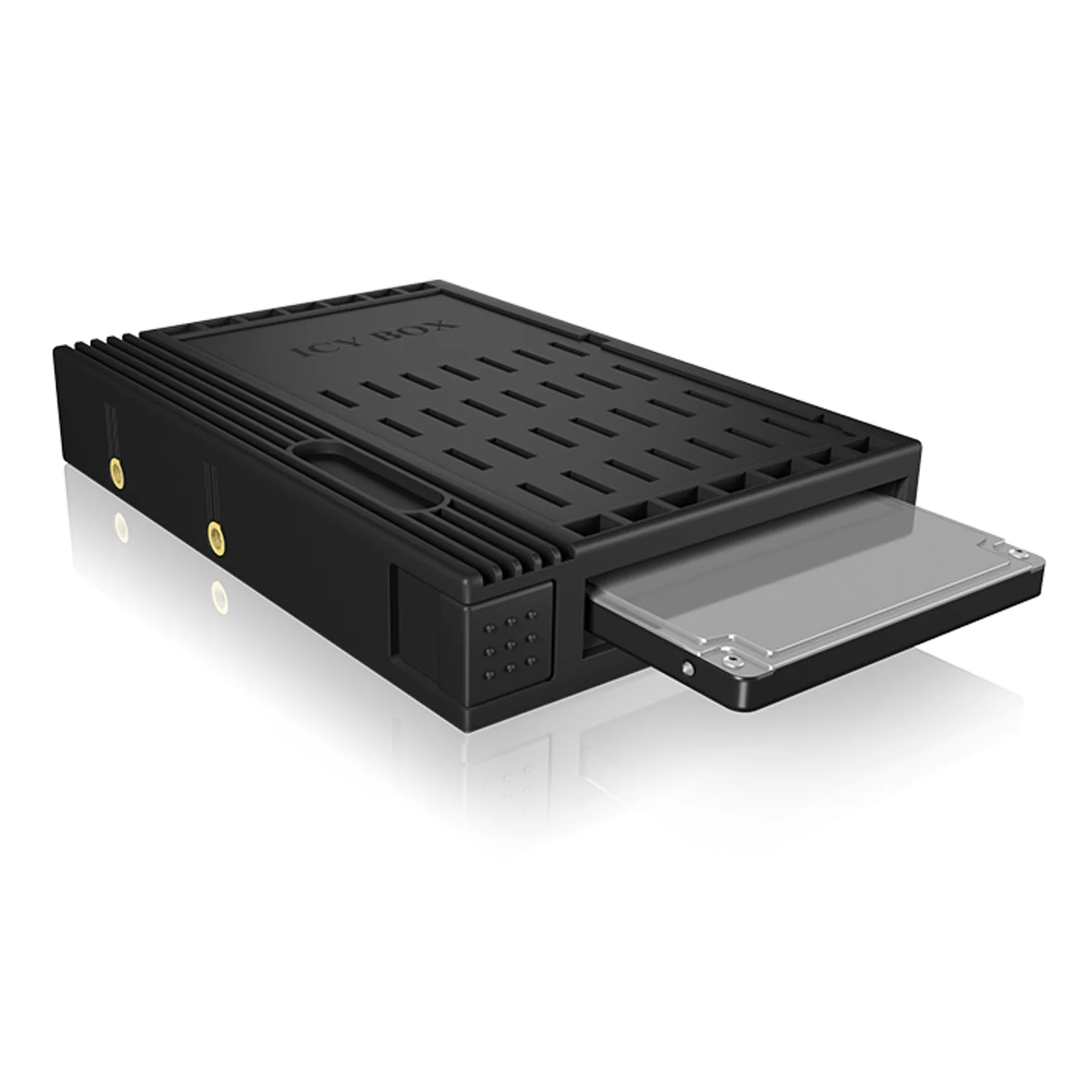 IB-2536StS Universel Cage disque dur