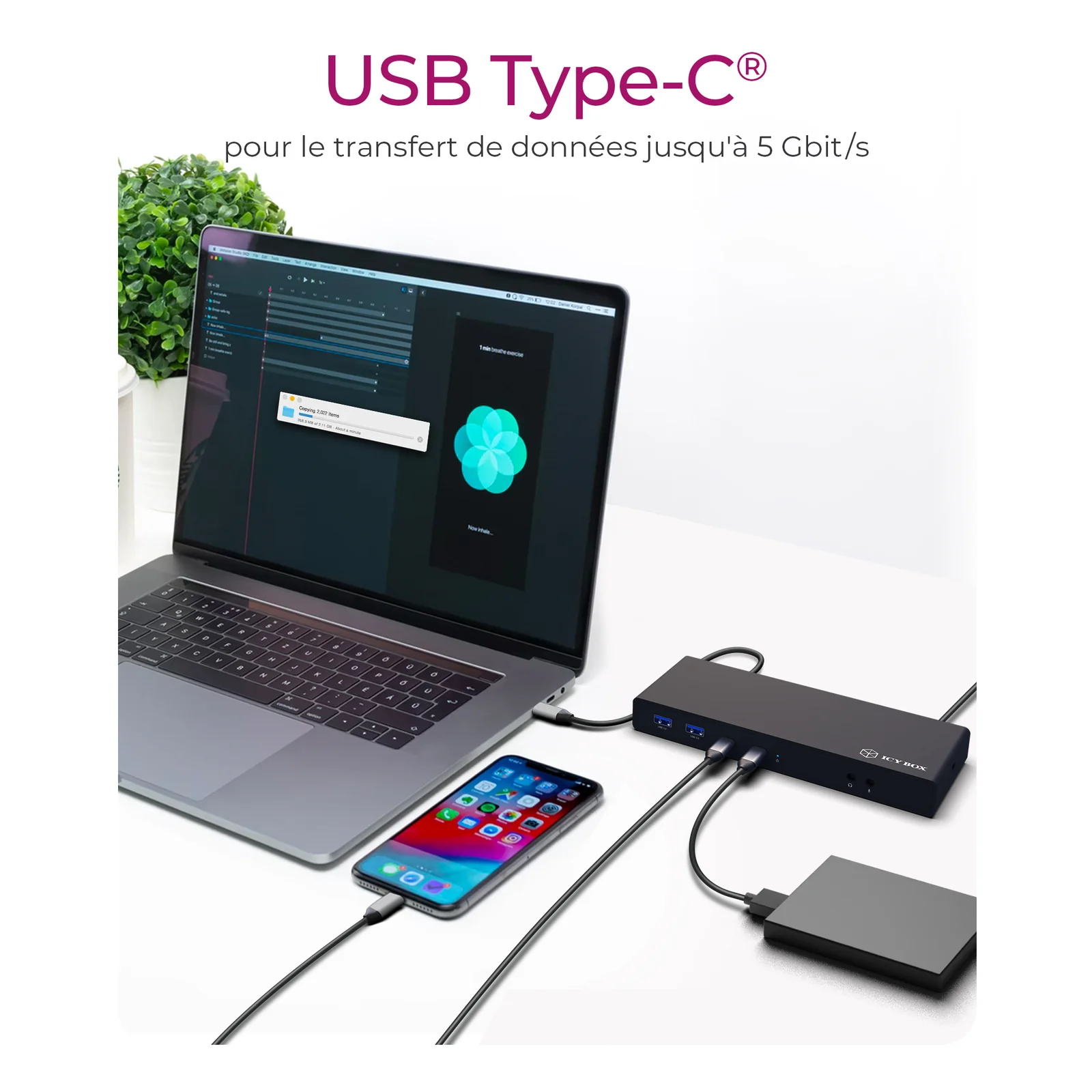 ICY BOX IB-DK2245AC Avec fil USB 3.2 Gen 1 (3.1 Gen 1) Type-C Noir