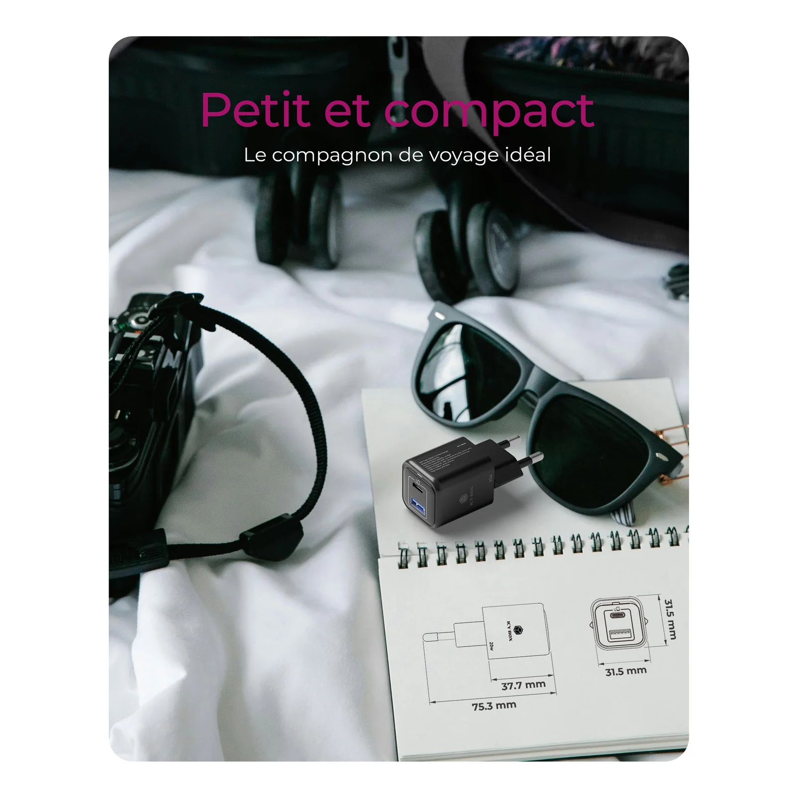 ICY BOX IB-PS1020-PD Universel Noir Secteur Charge rapide Intérieure