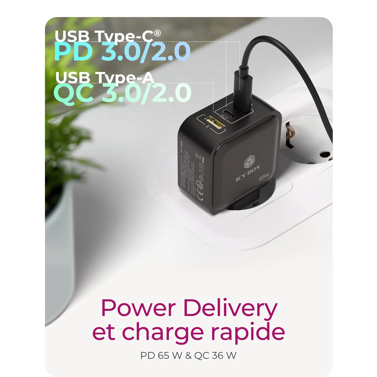 ICY BOX IB-PS1030-PD Universel Noir Secteur Charge rapide Intérieure